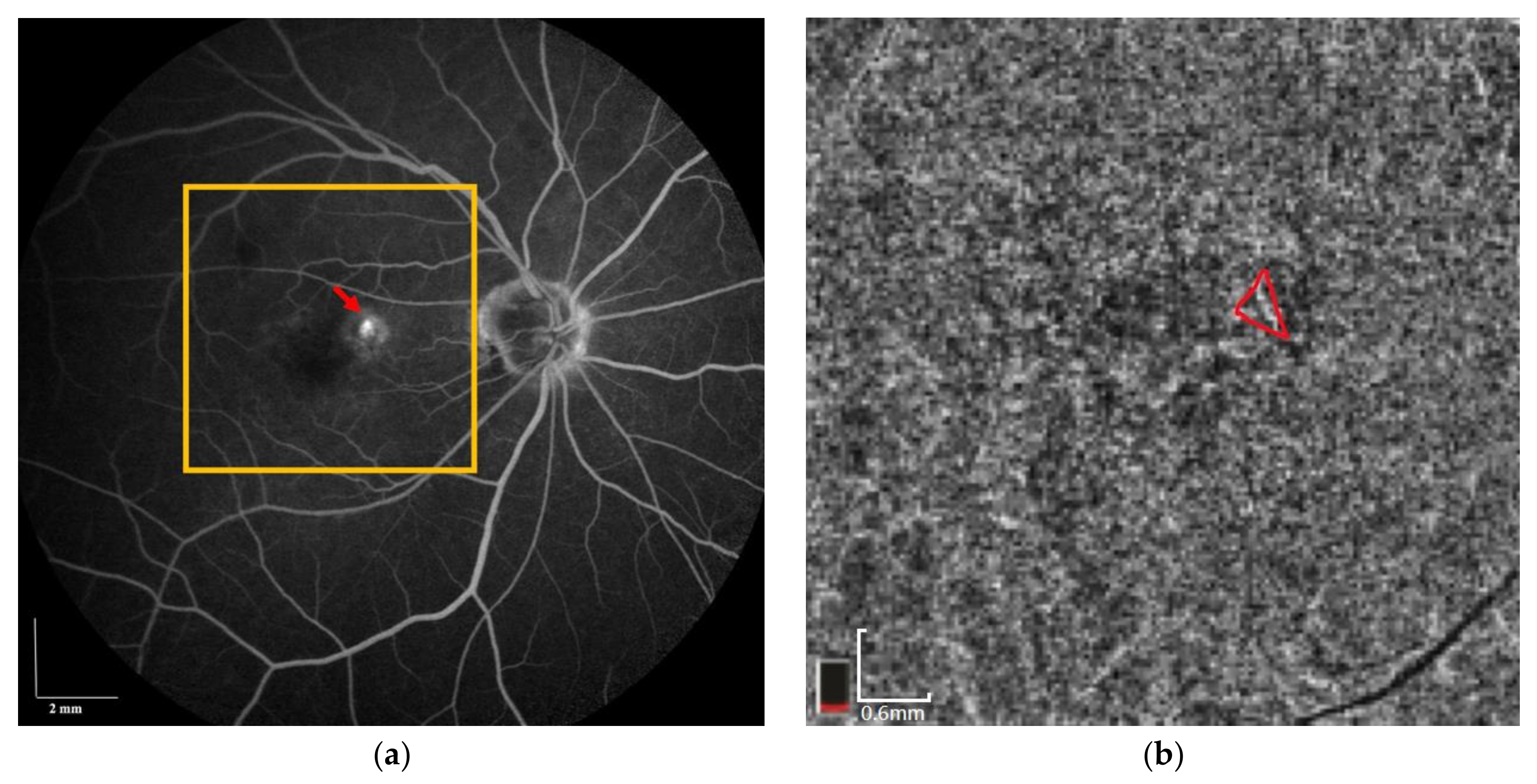 Applsci 10 00137 g008