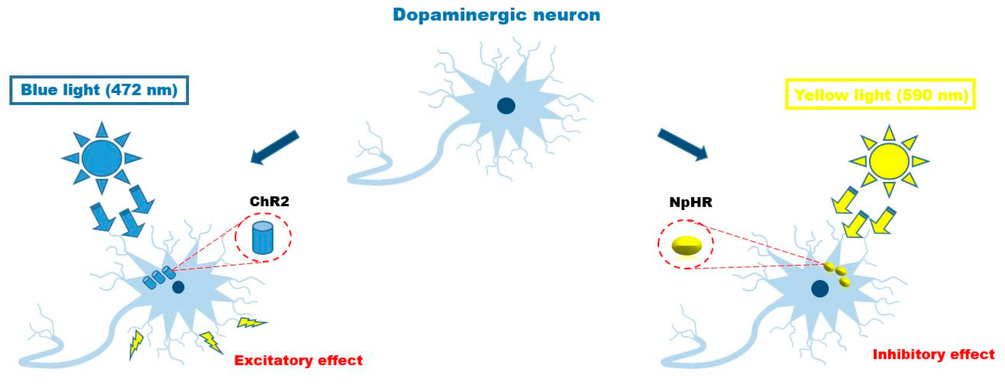 Applsci 10 00173 g001 Applsci 10 00173 g001