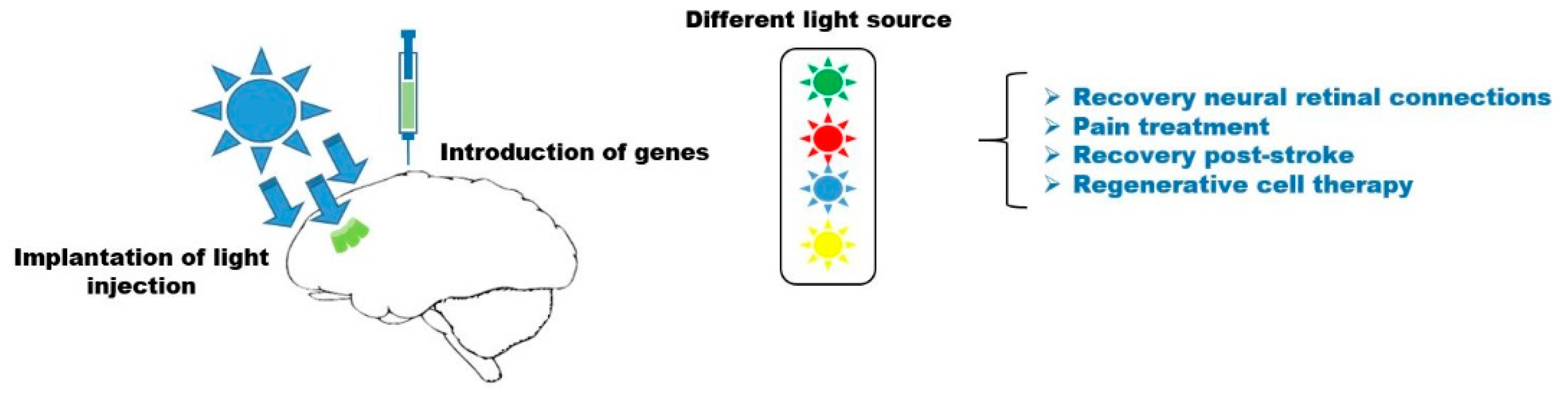Applsci 10 00173 g002 Applsci 10 00173 g002