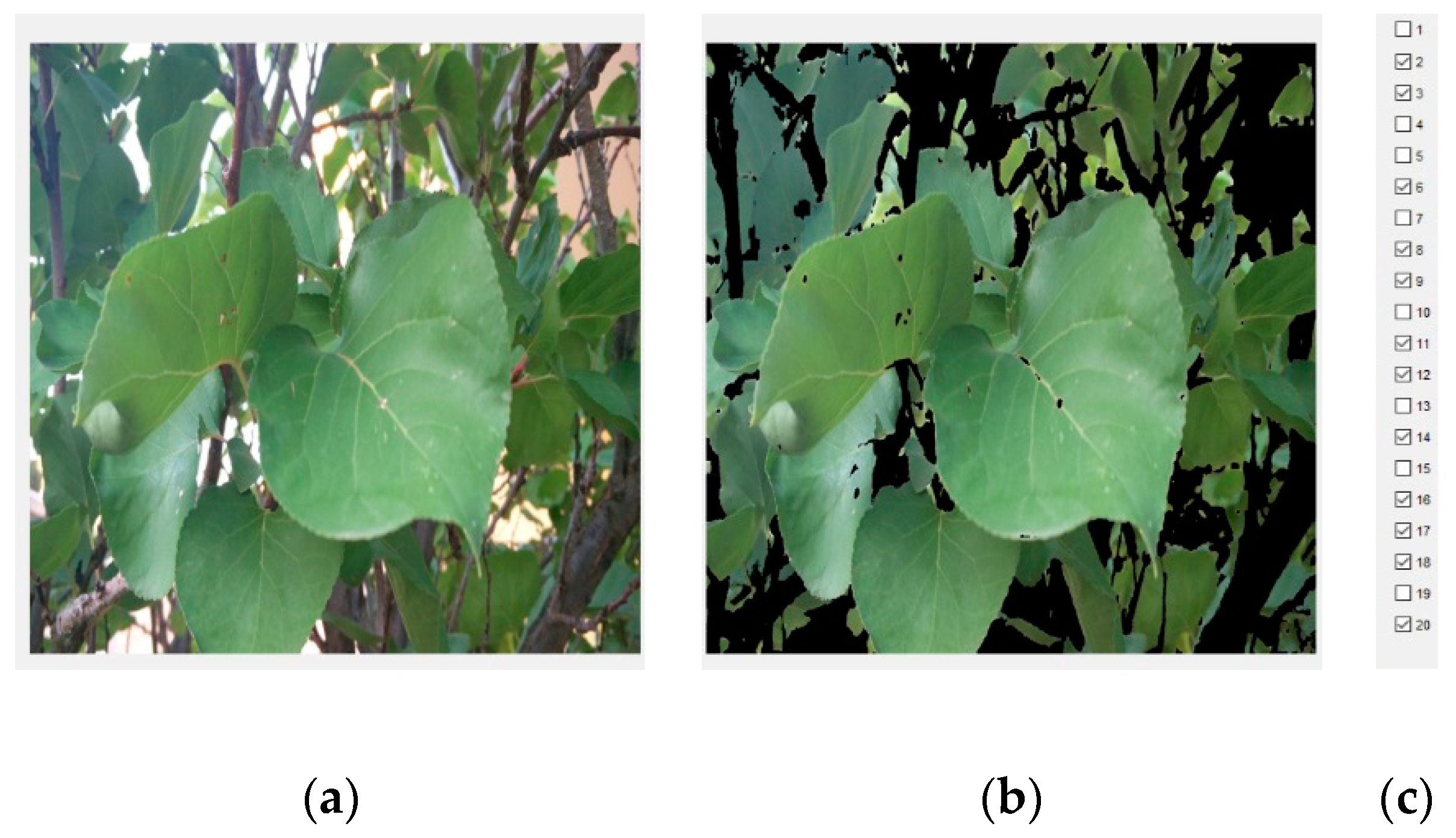 Applsci 10 00202 g002