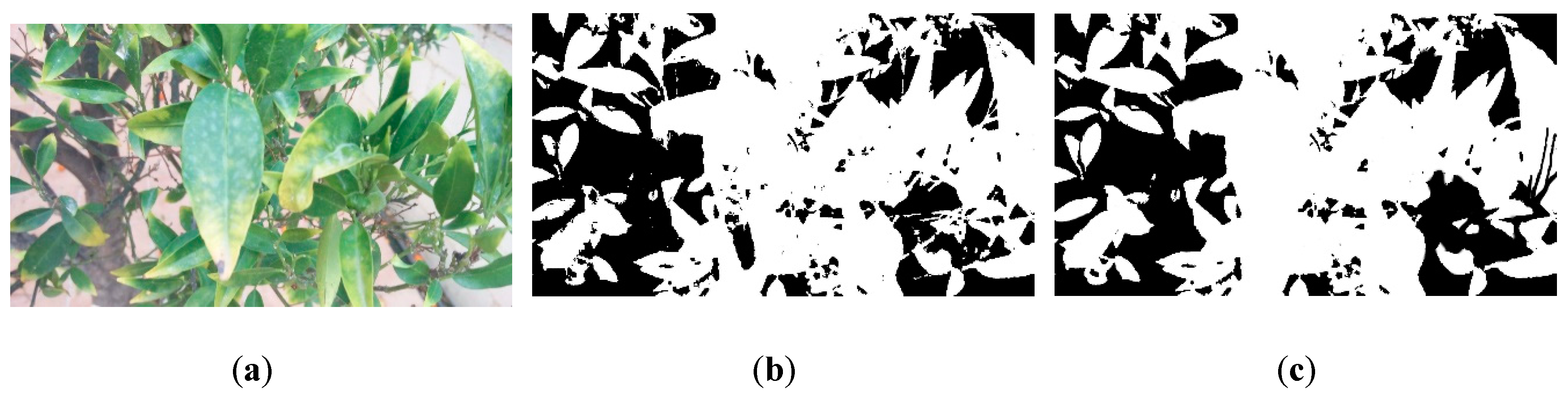 Segmentation of Multiple Tree Leaves Pictures with Natural Backgrounds ...