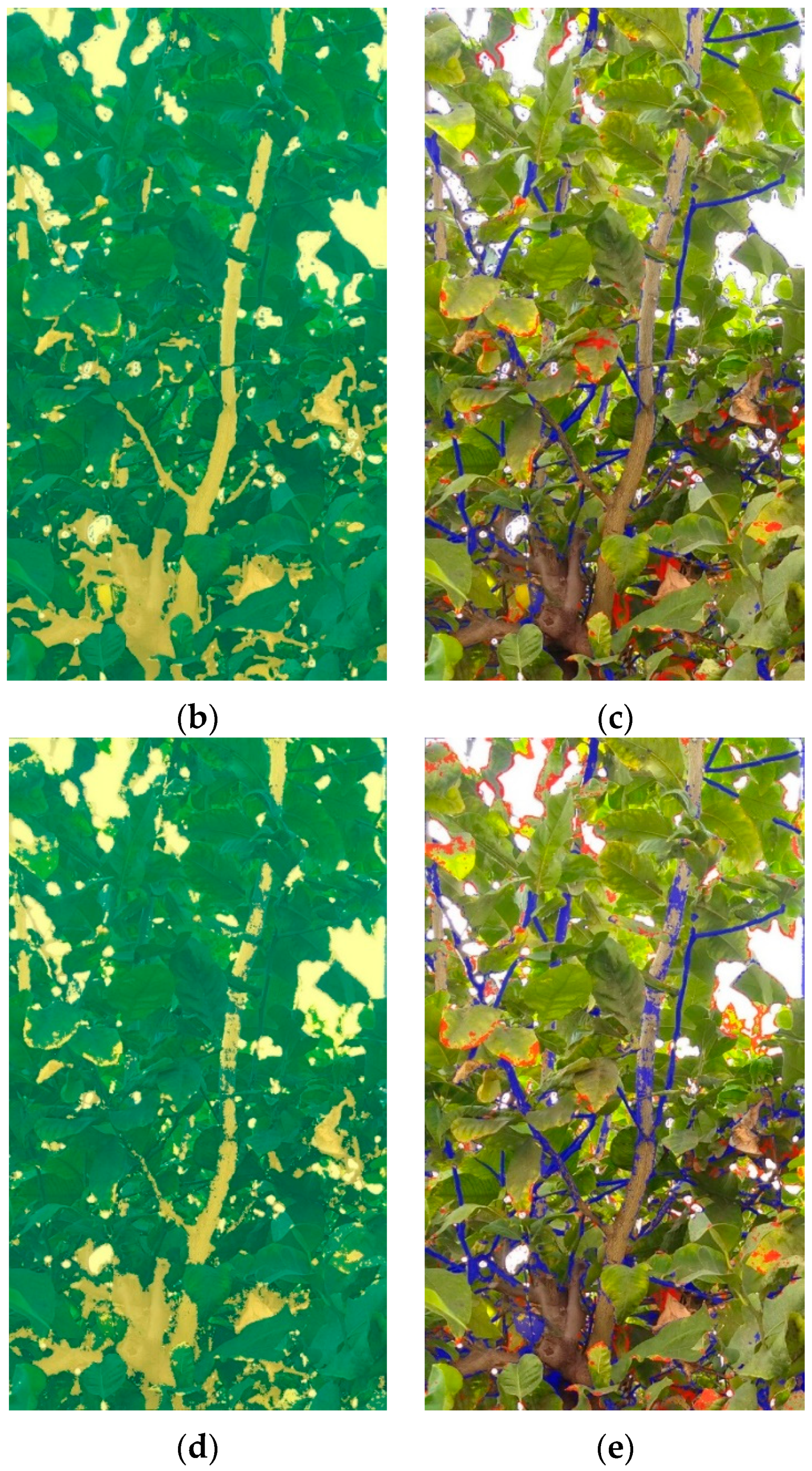 Applsci 10 00202 g007b