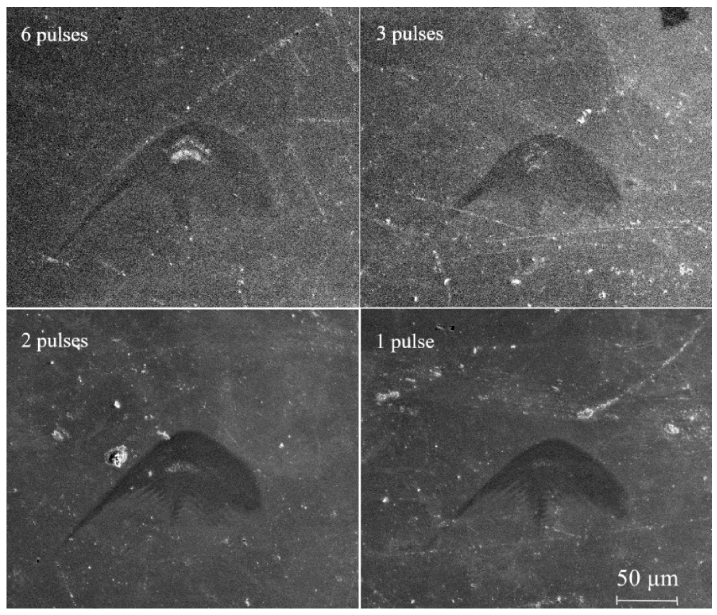 Applsci 10 00214 g005