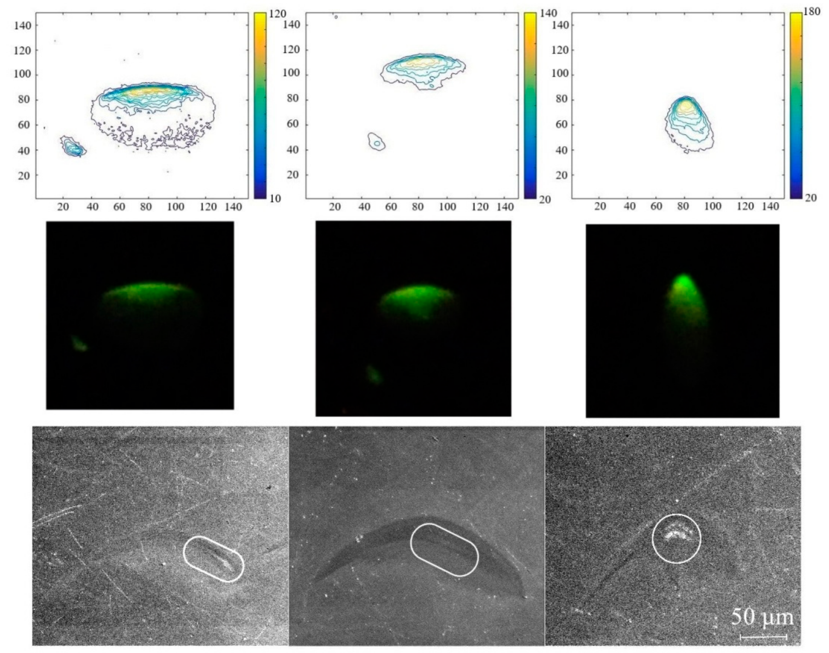 Applsci 10 00214 g007