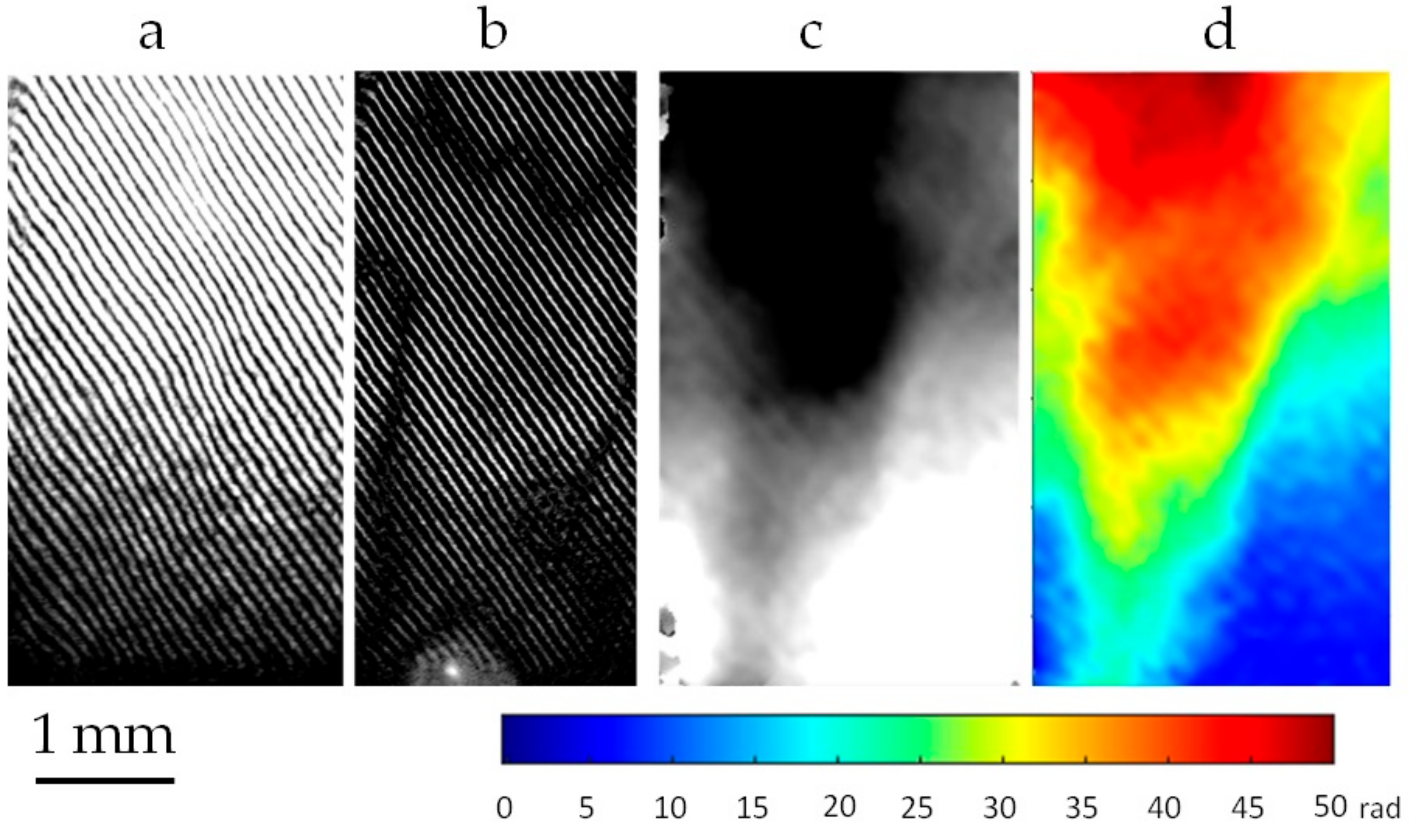 Applsci 10 00231 g003