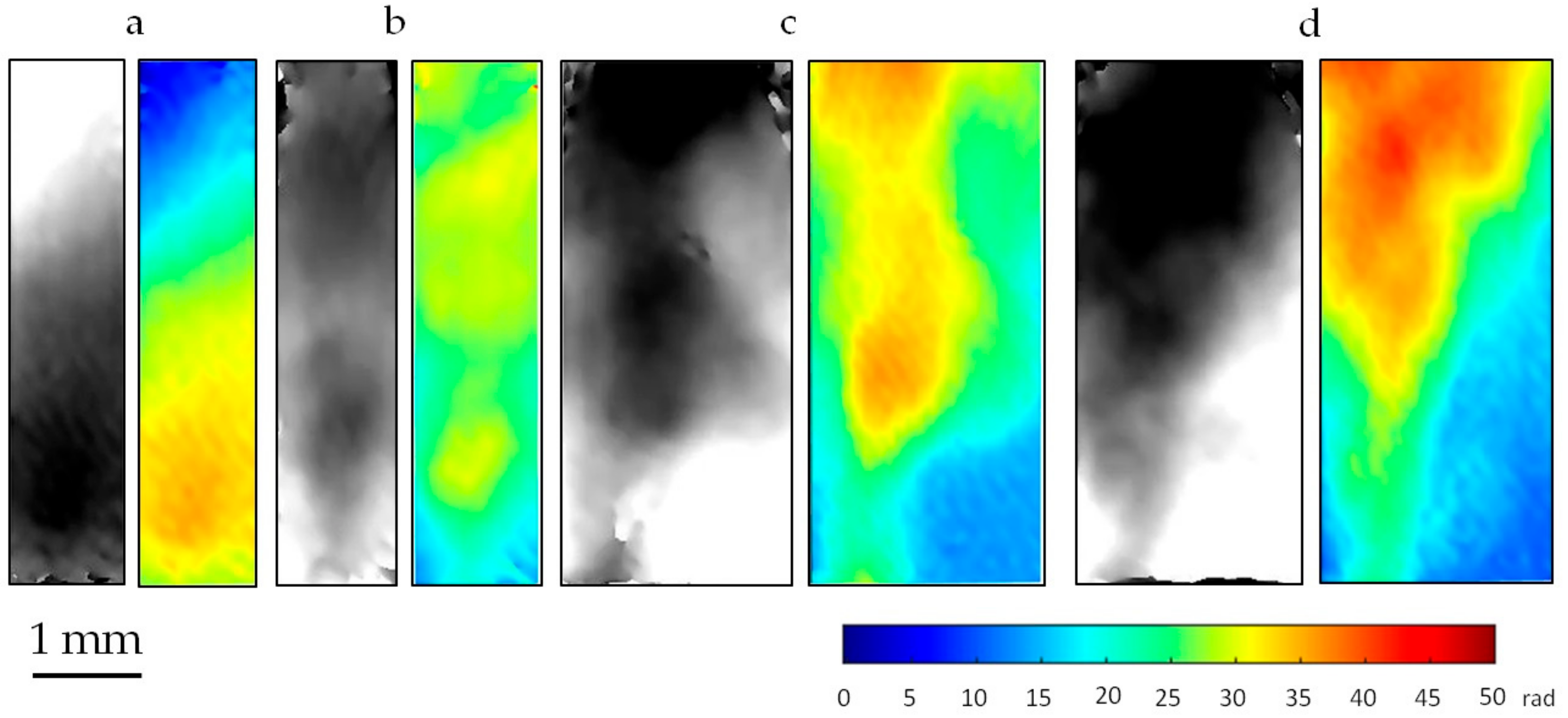 Applsci 10 00231 g004