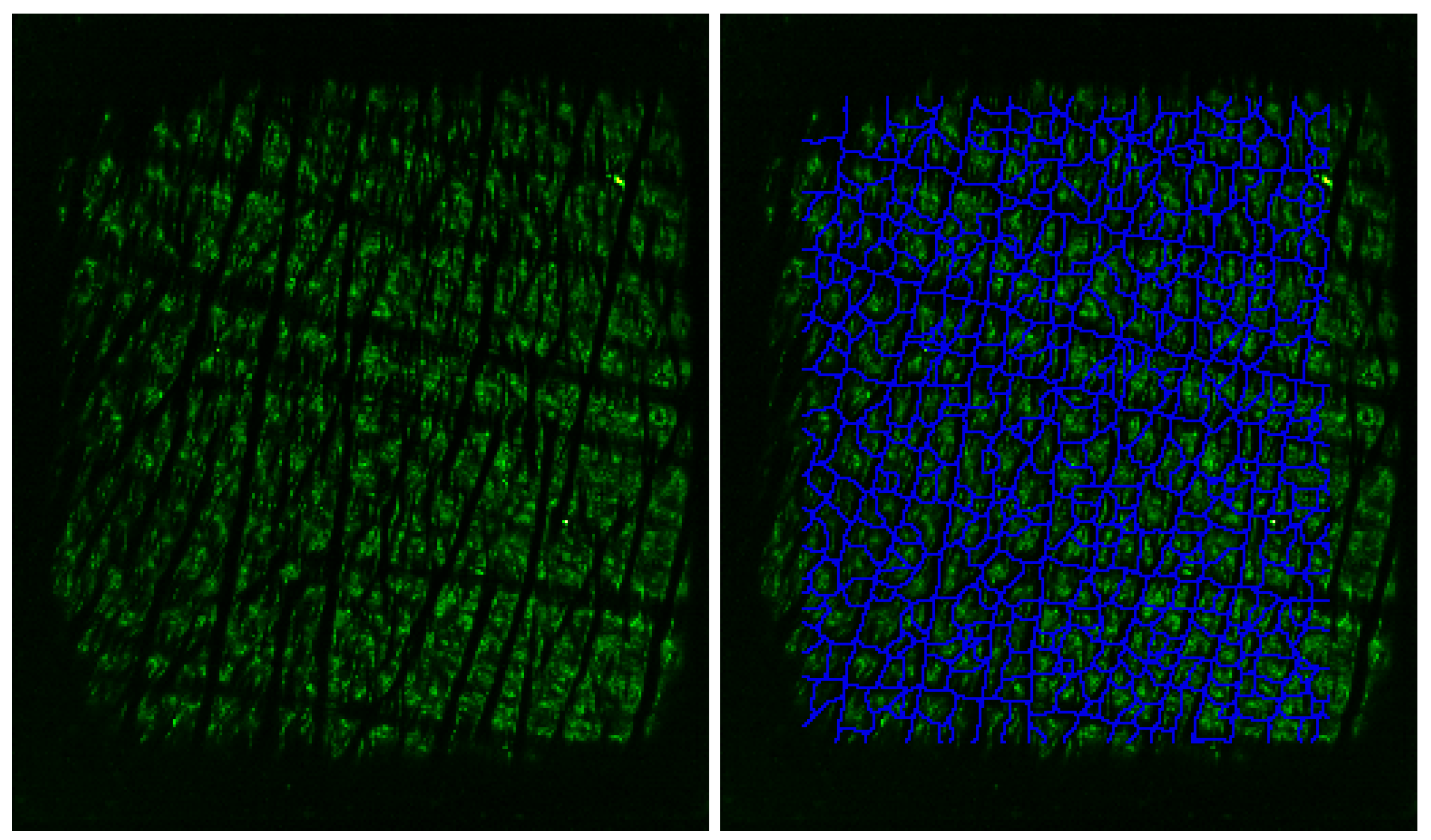 Applsci 10 00256 g005