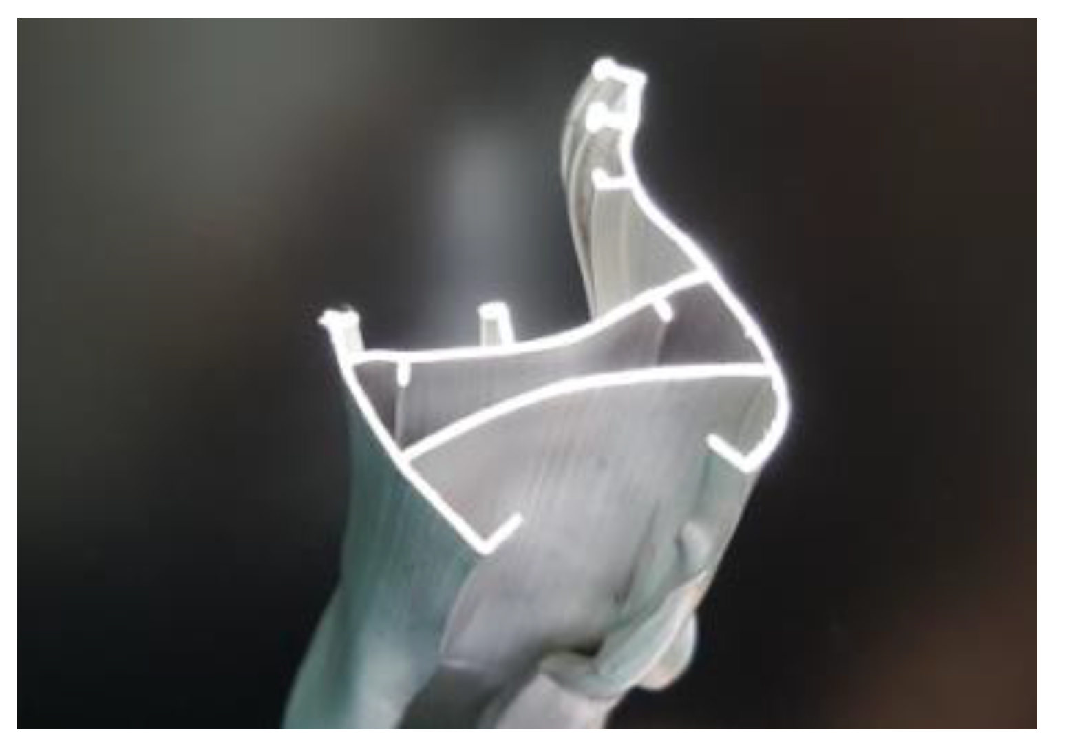 Applsci 10 00263 g001 Applsci 10 00263 g001