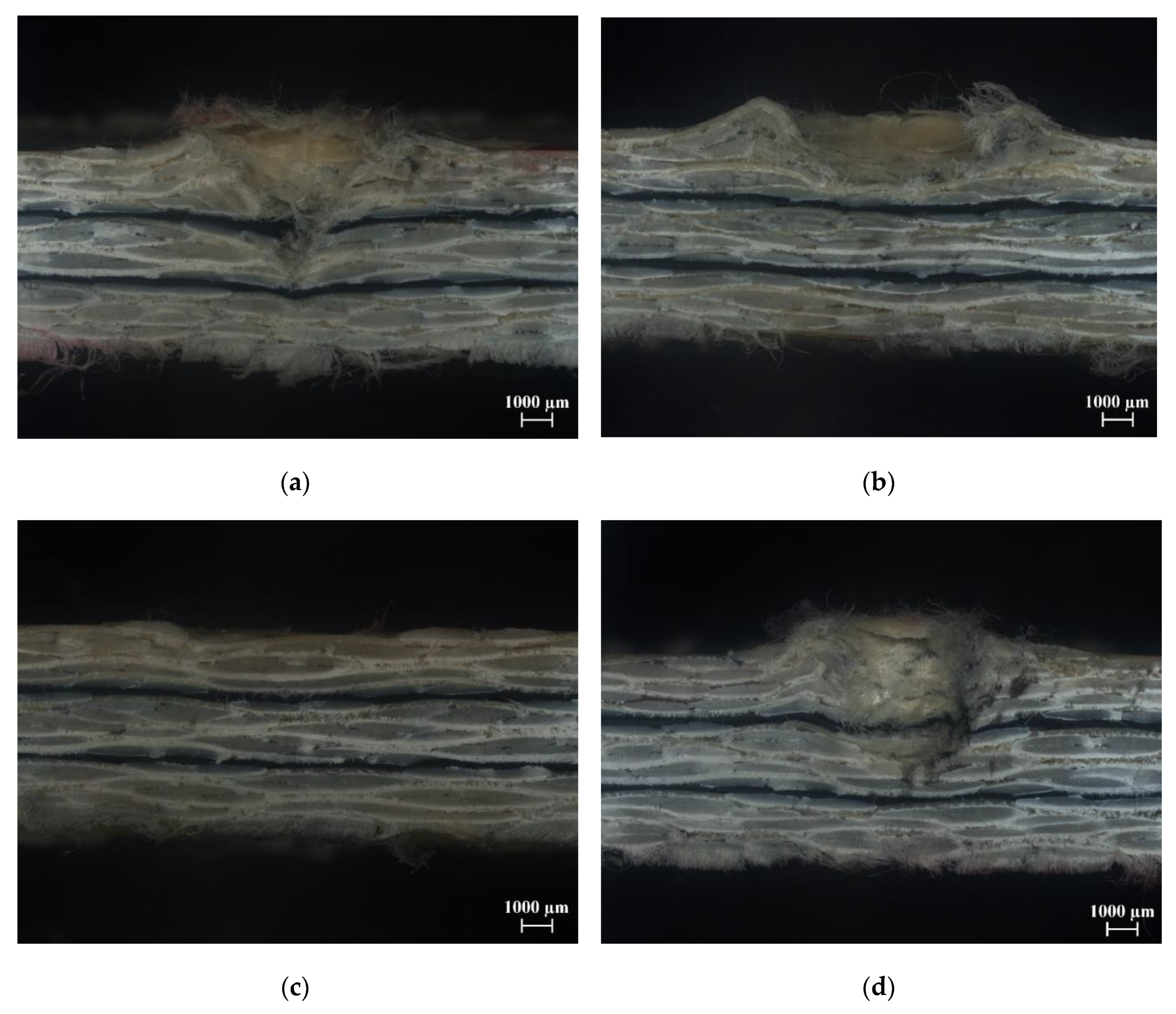 Applsci 10 00288 g0a2