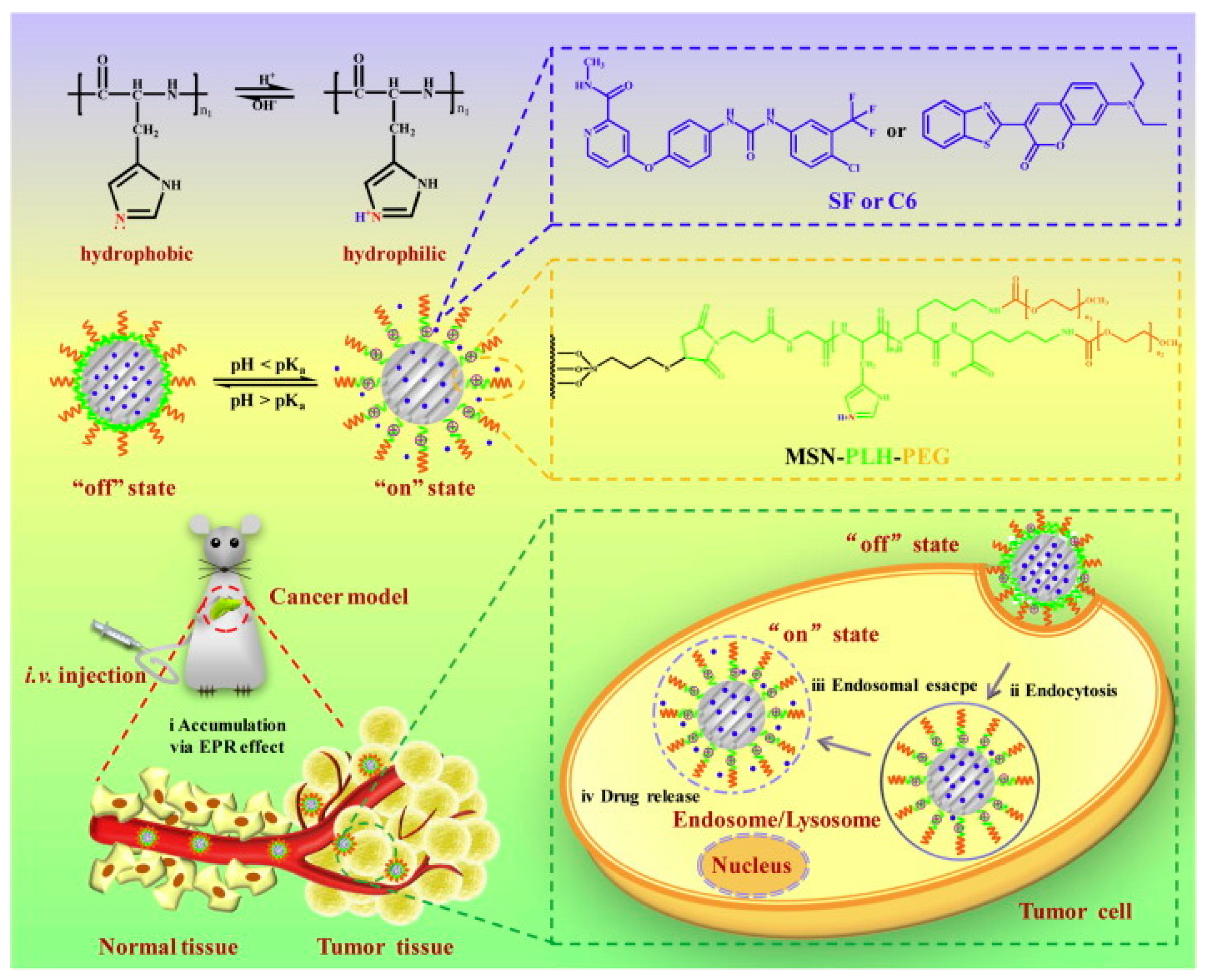 Applsci 10 00289 g007 Applsci 10 00289 g007