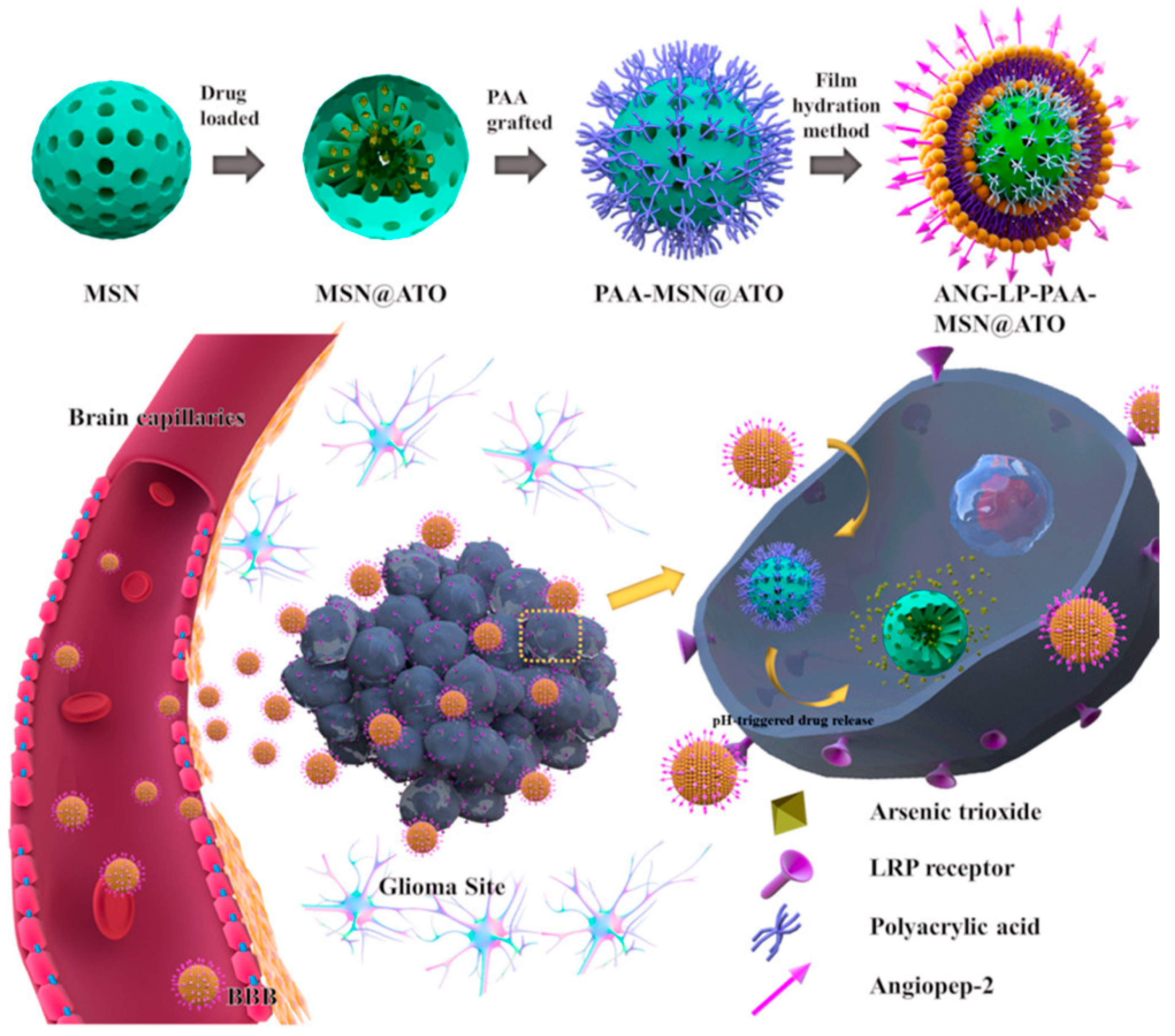 Applsci 10 00289 g010 Applsci 10 00289 g010