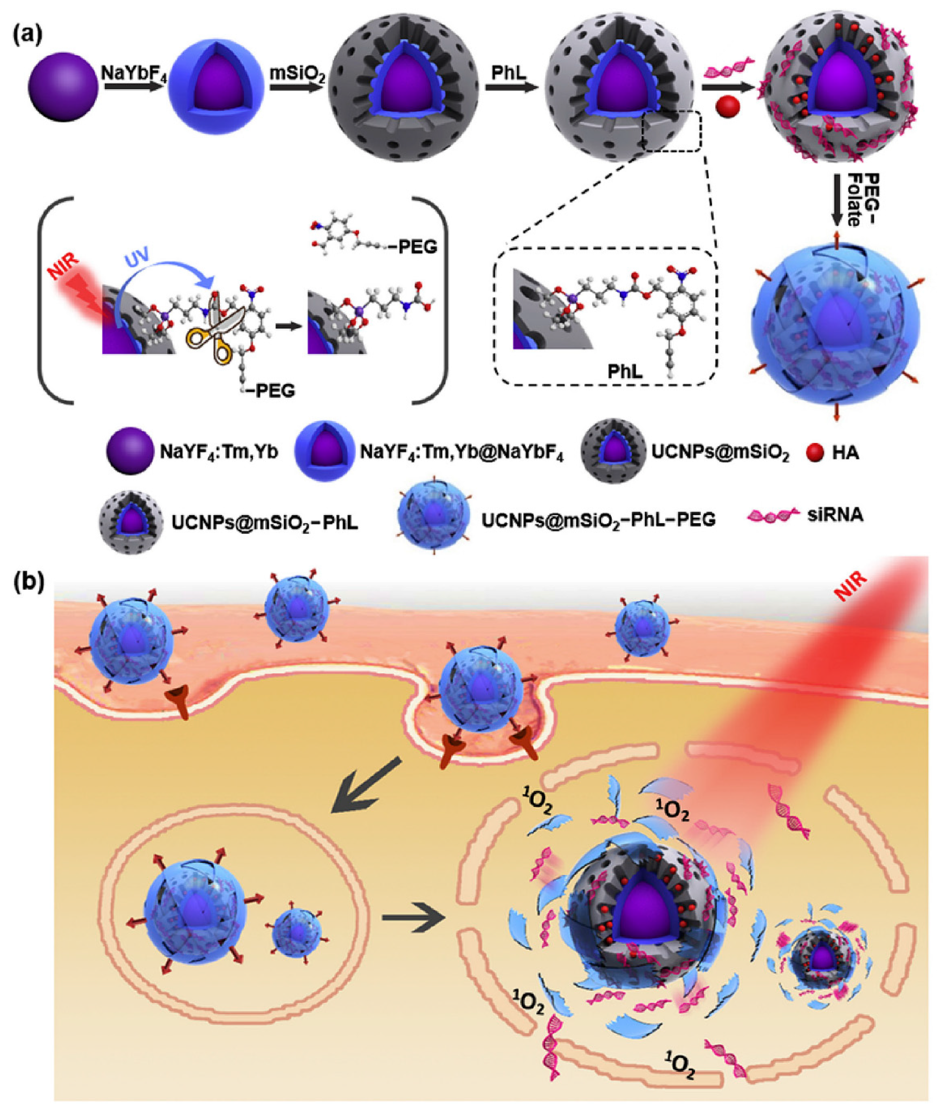 Applsci 10 00289 g013 Applsci 10 00289 g013