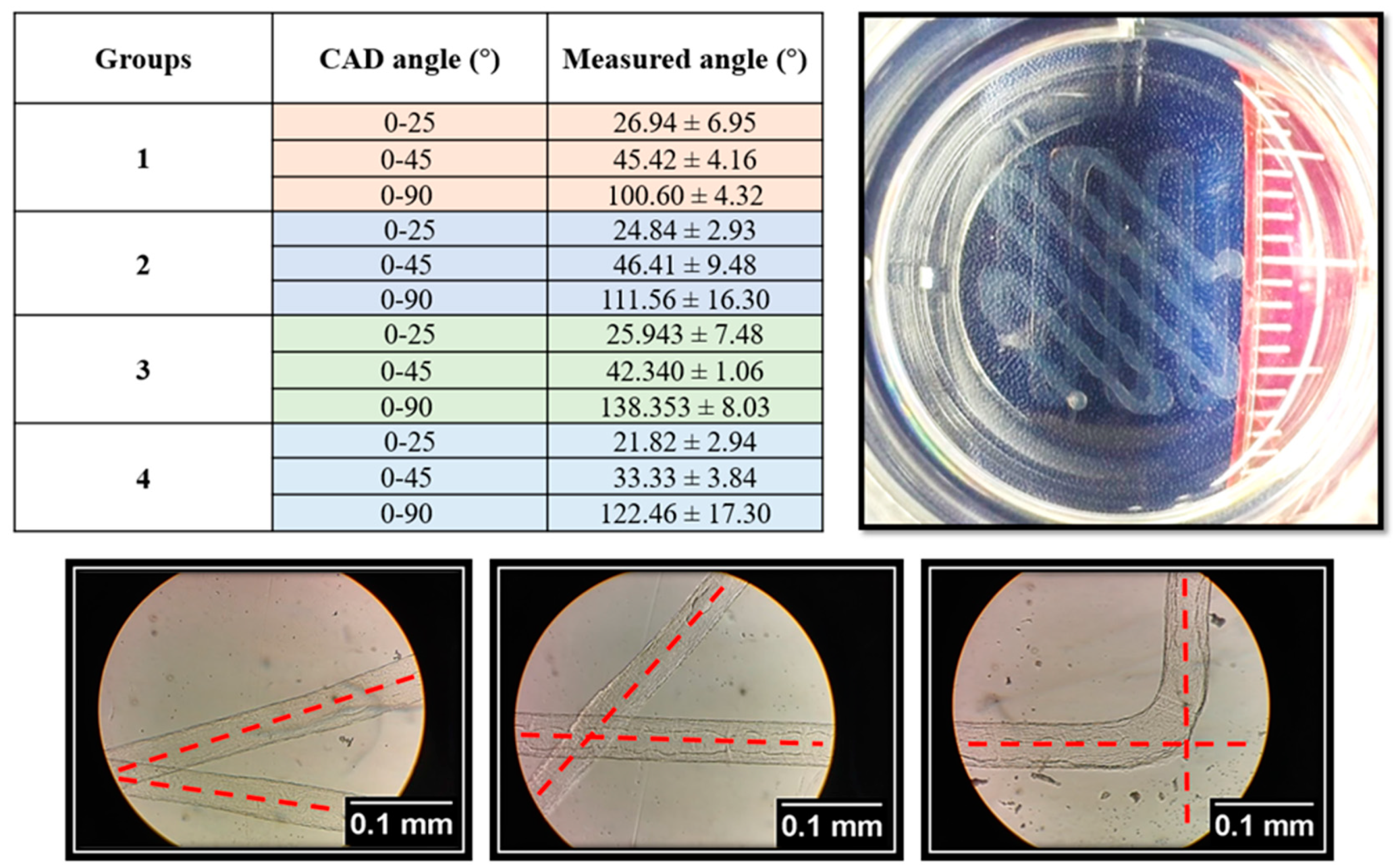 Applsci 10 00292 g008