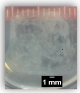 Applsci 10 00292 i008