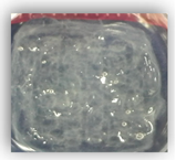 Applsci 10 00292 i011