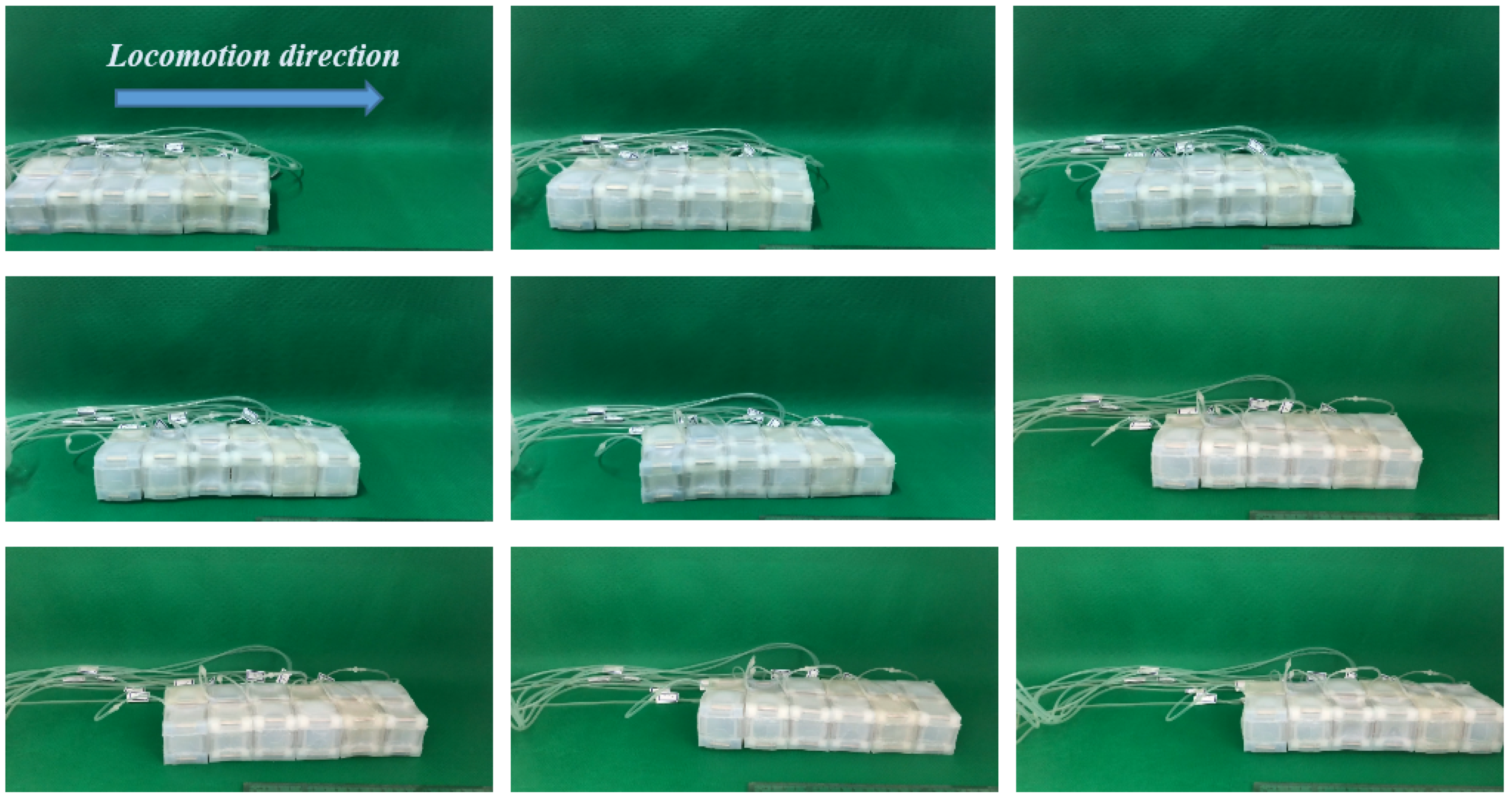 Applsci 10 00294 g013 Applsci 10 00294 g013