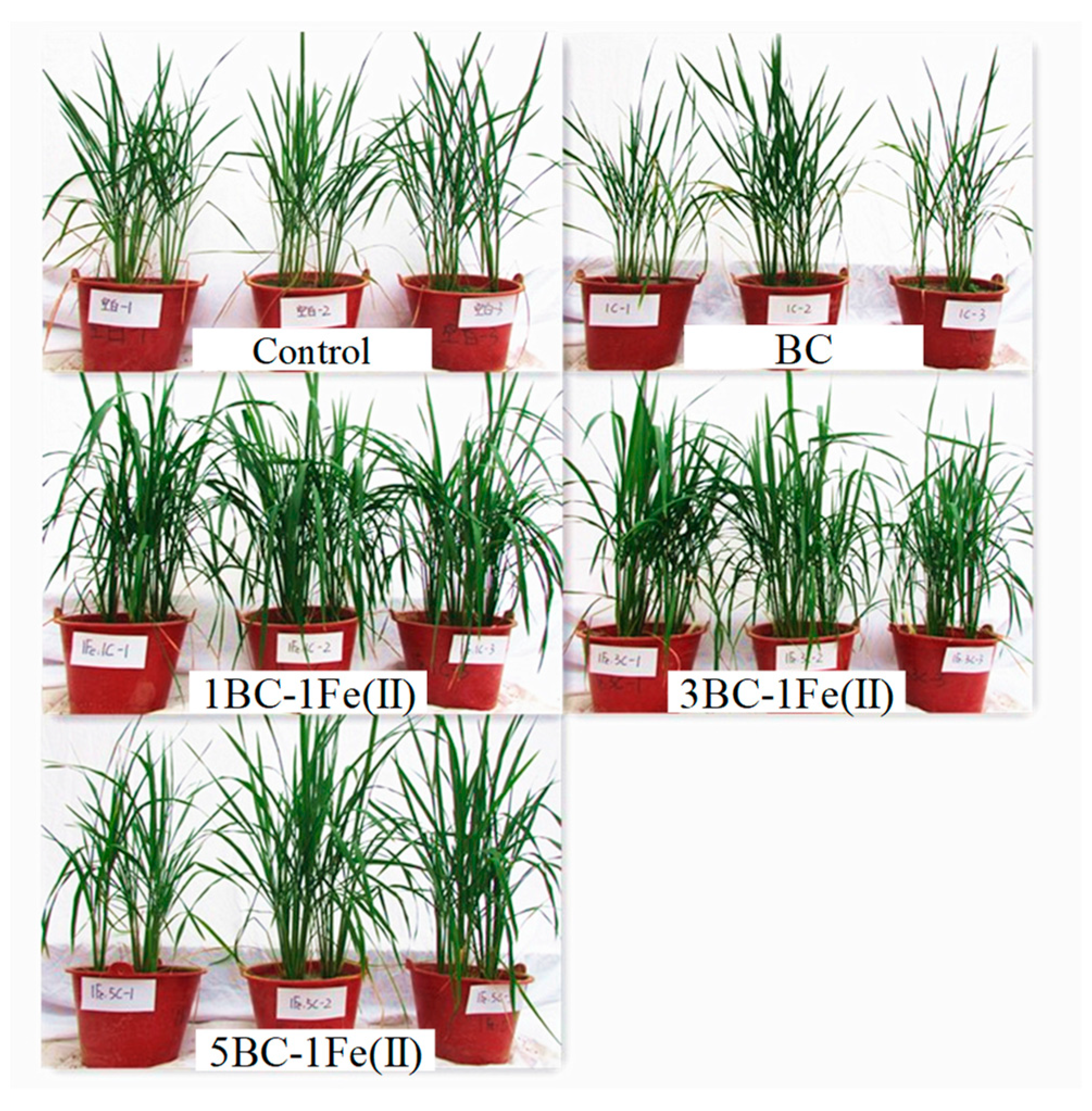 Applsci 10 00300 g001 Applsci 10 00300 g001