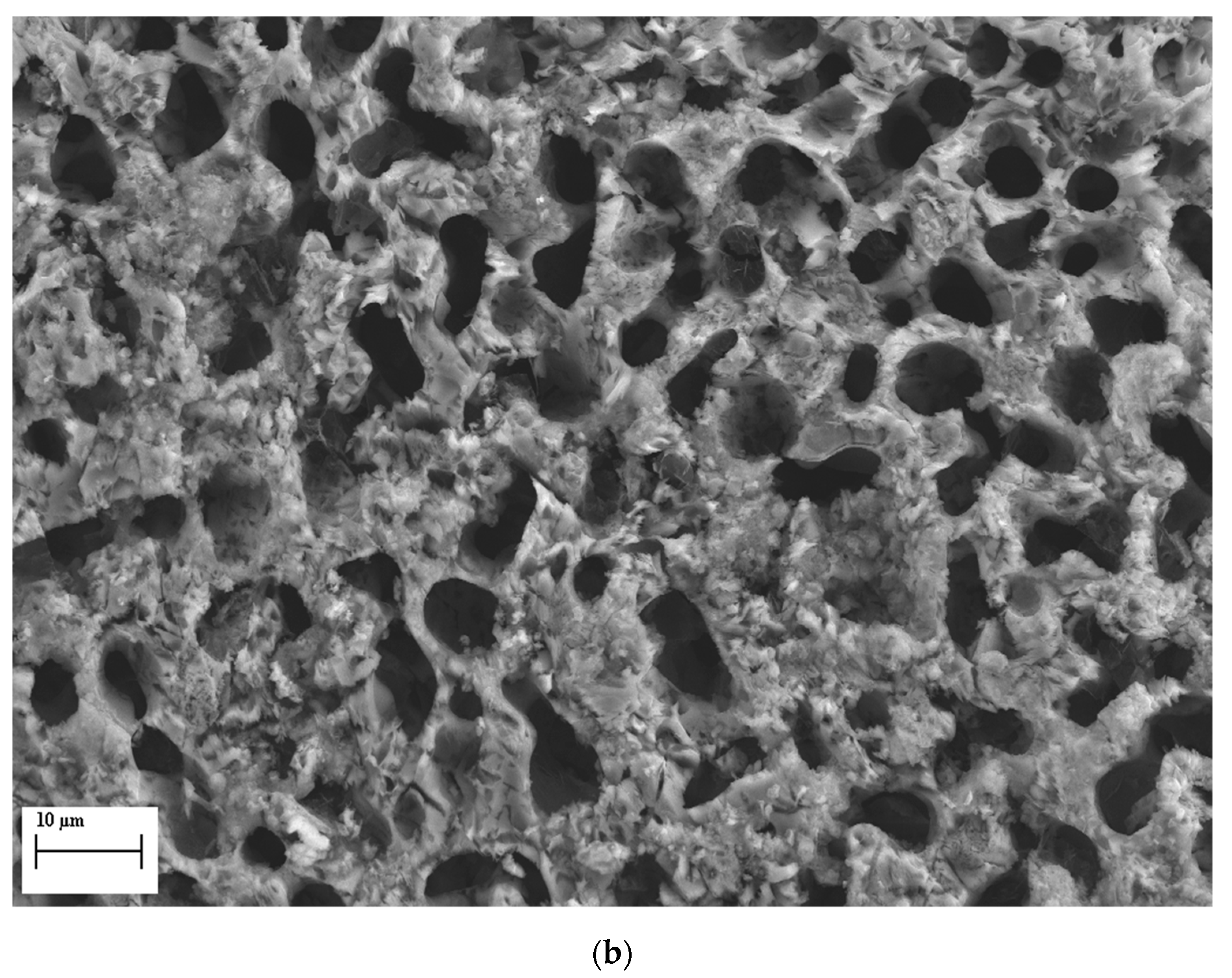 Applsci 10 00312 g007b