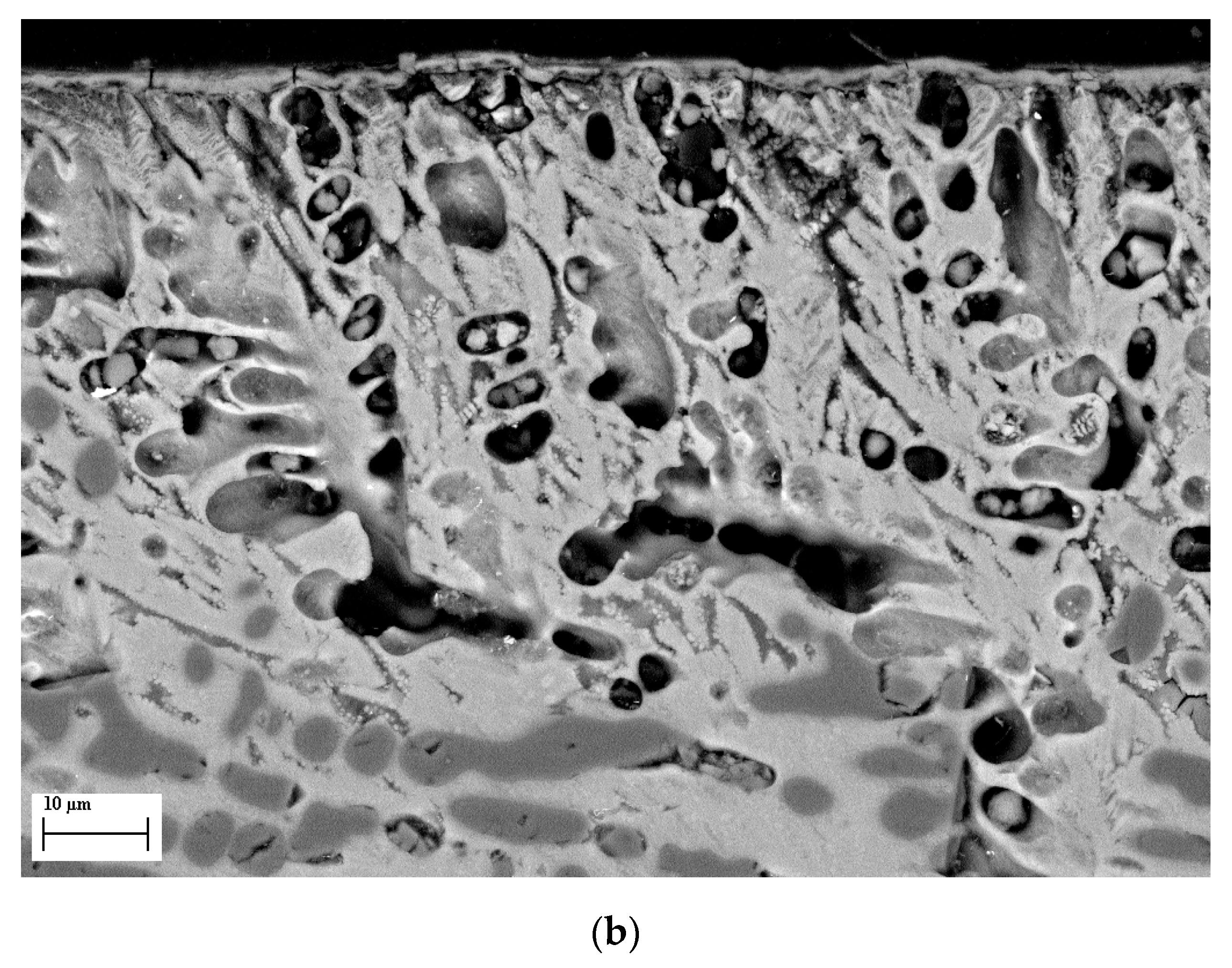 Applsci 10 00312 g008b