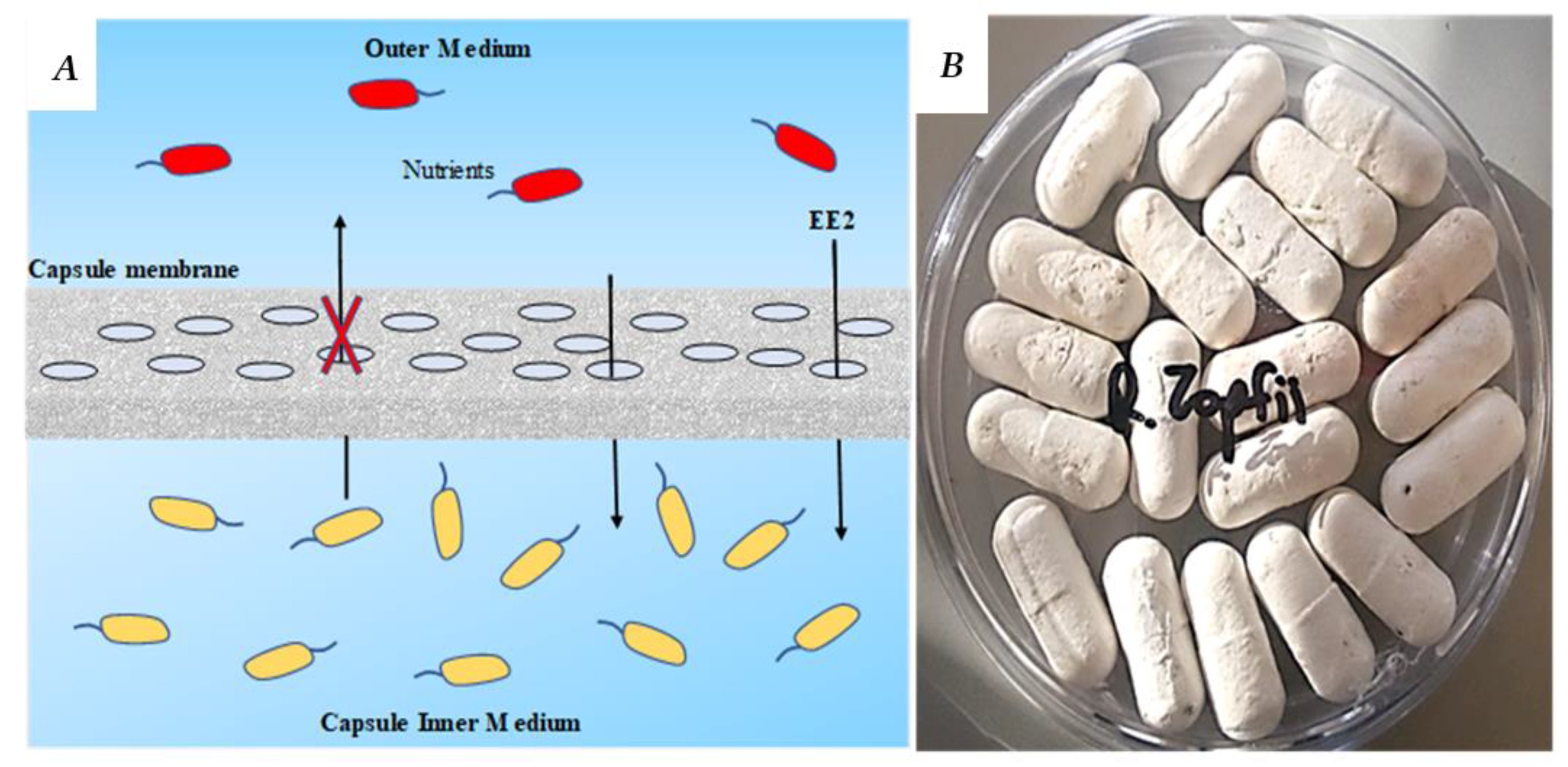 Applsci 10 00336 g001