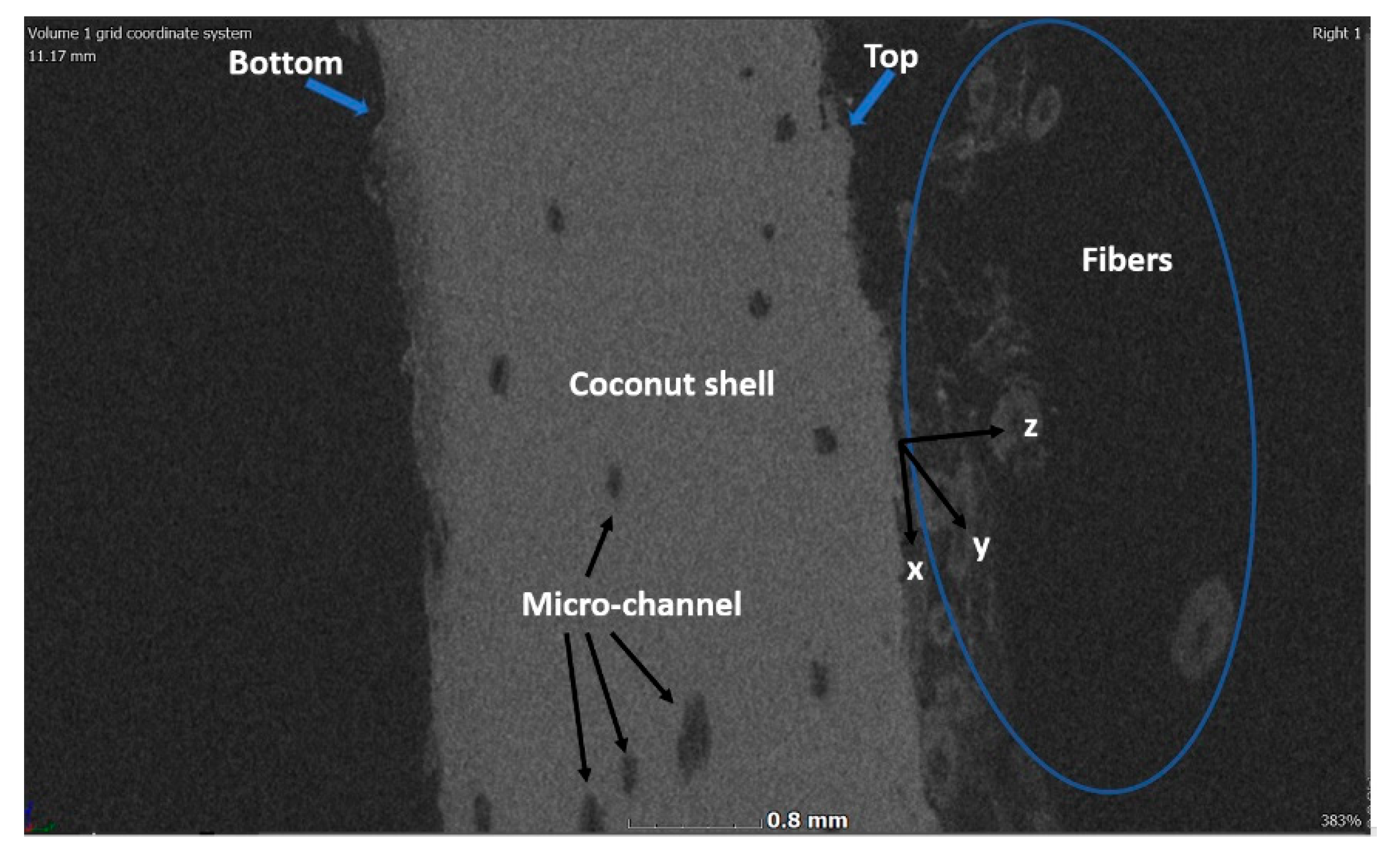 Applsci 10 00355 g005 550