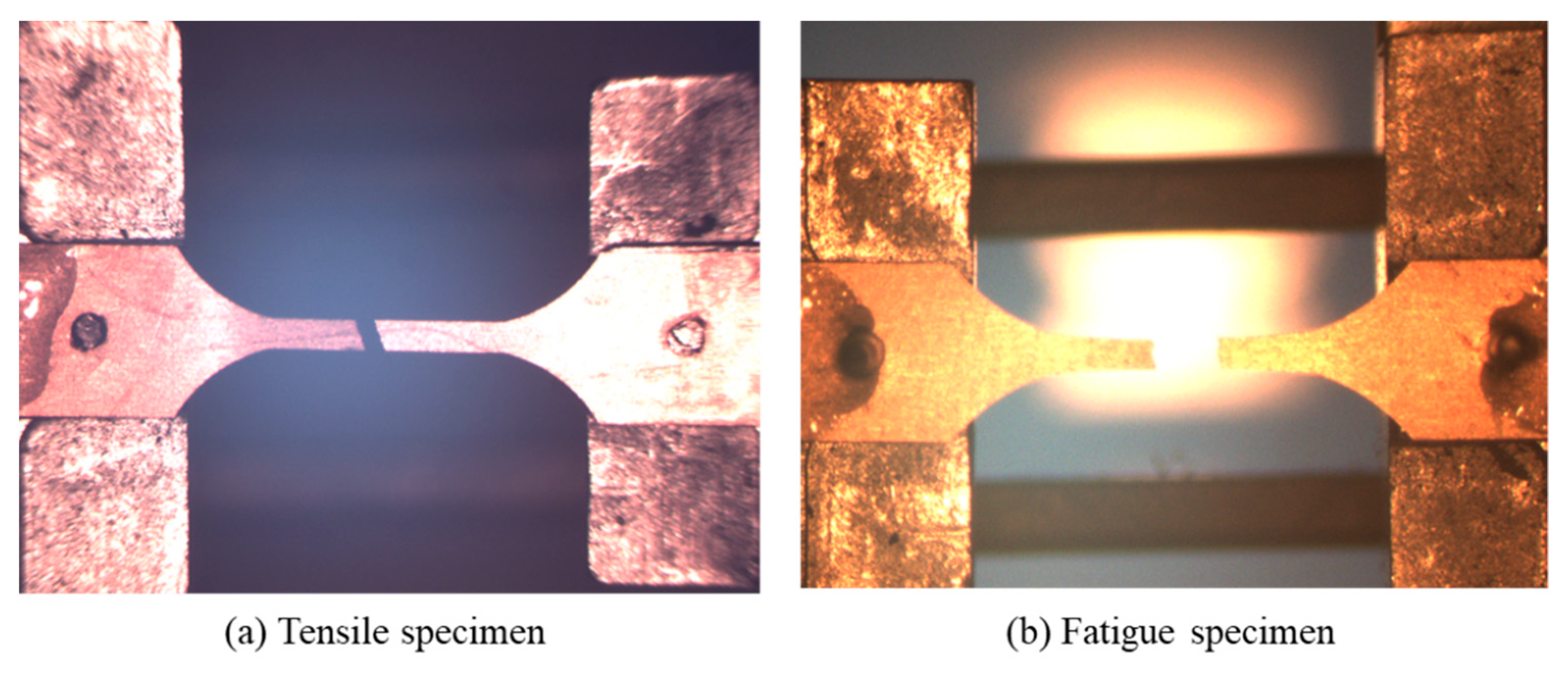 Applsci 10 00388 g006