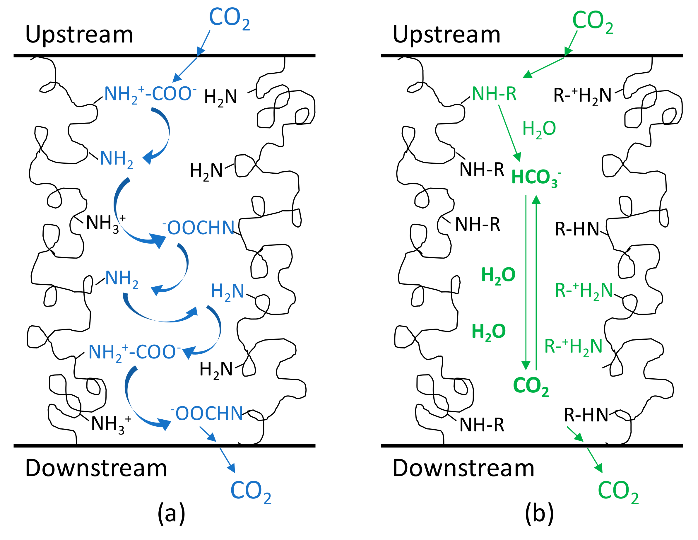Applsci 10 00414 g001 Applsci 10 00414 g001