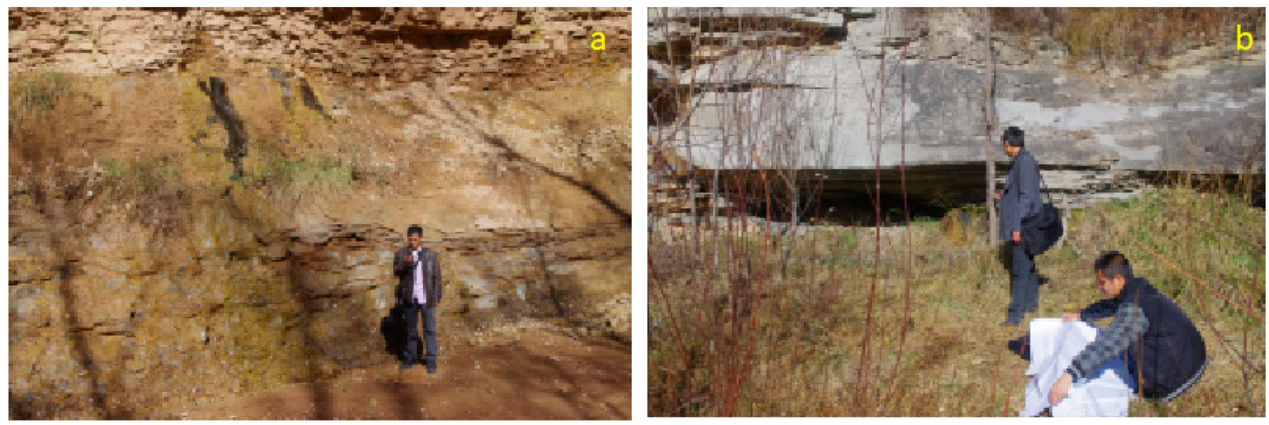 Applsci 10 00425 g003