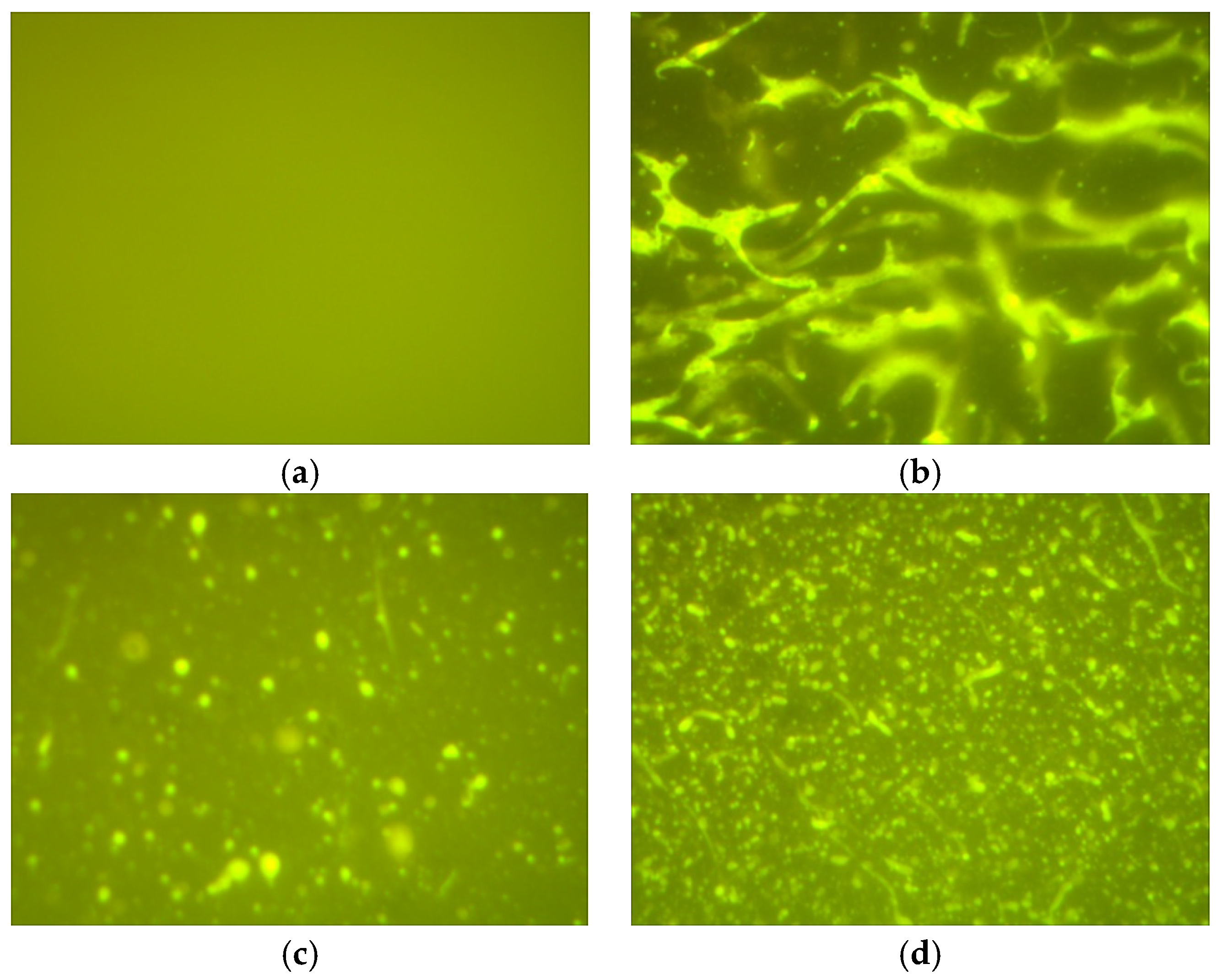 Applsci 10 00426 g007