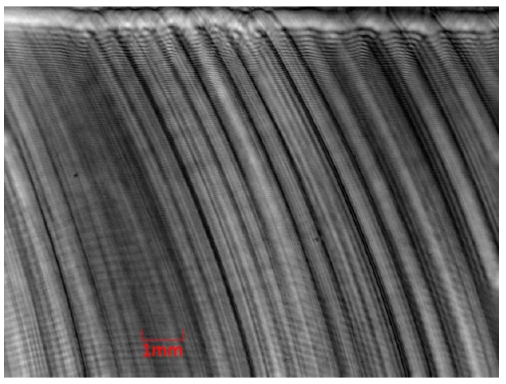 Applsci 10 00442 g005