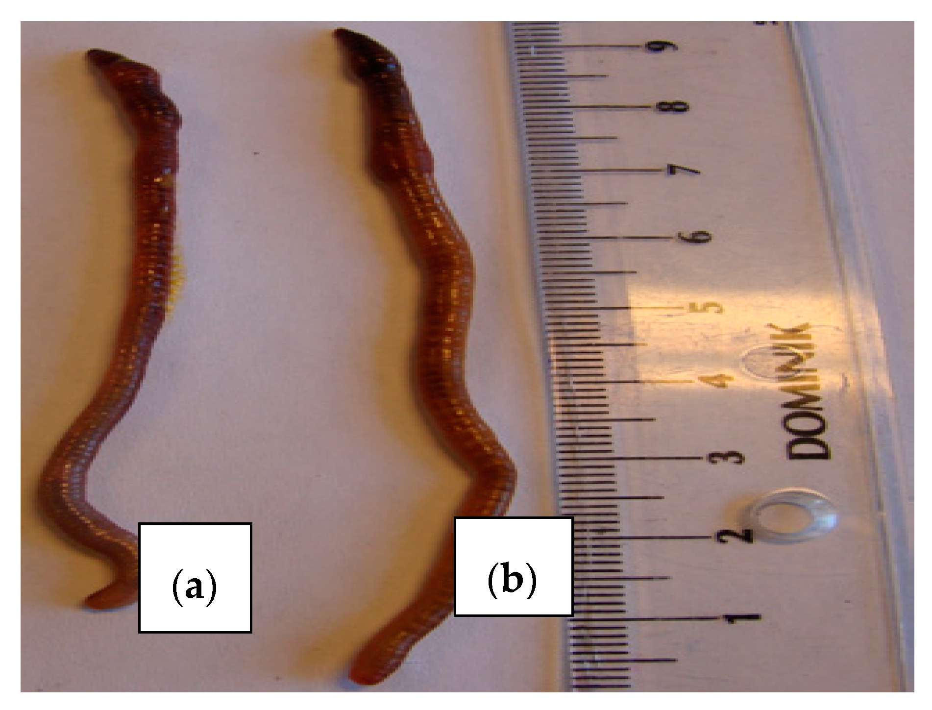 Applsci 10 00456 g008