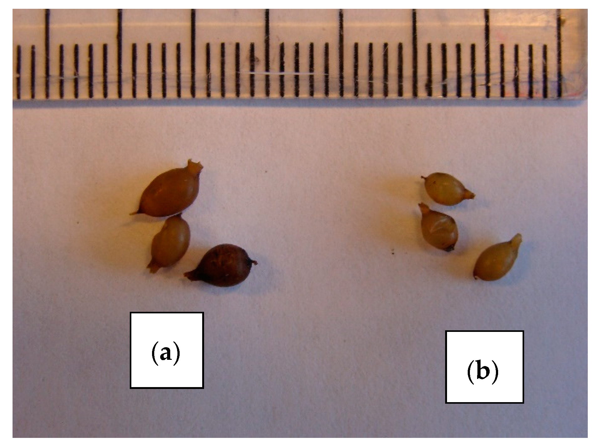 Applsci 10 00456 g009