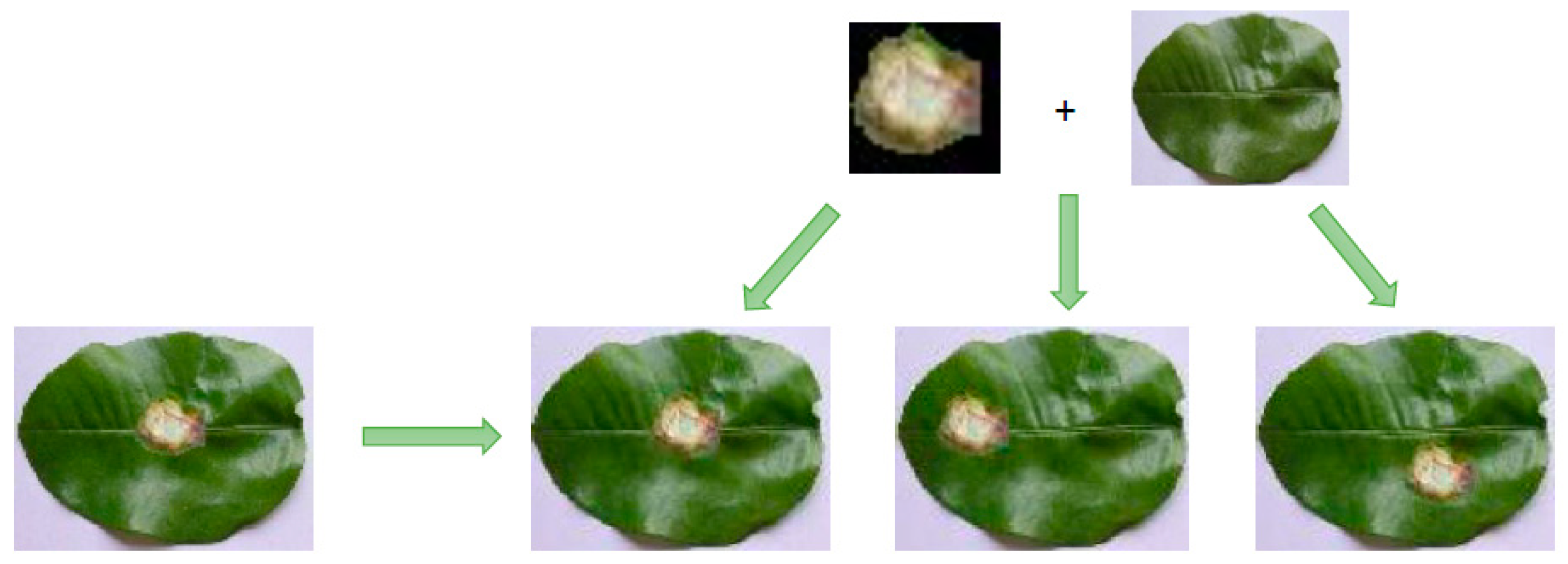 Applsci 10 00466 g006 Applsci 10 00466 g006