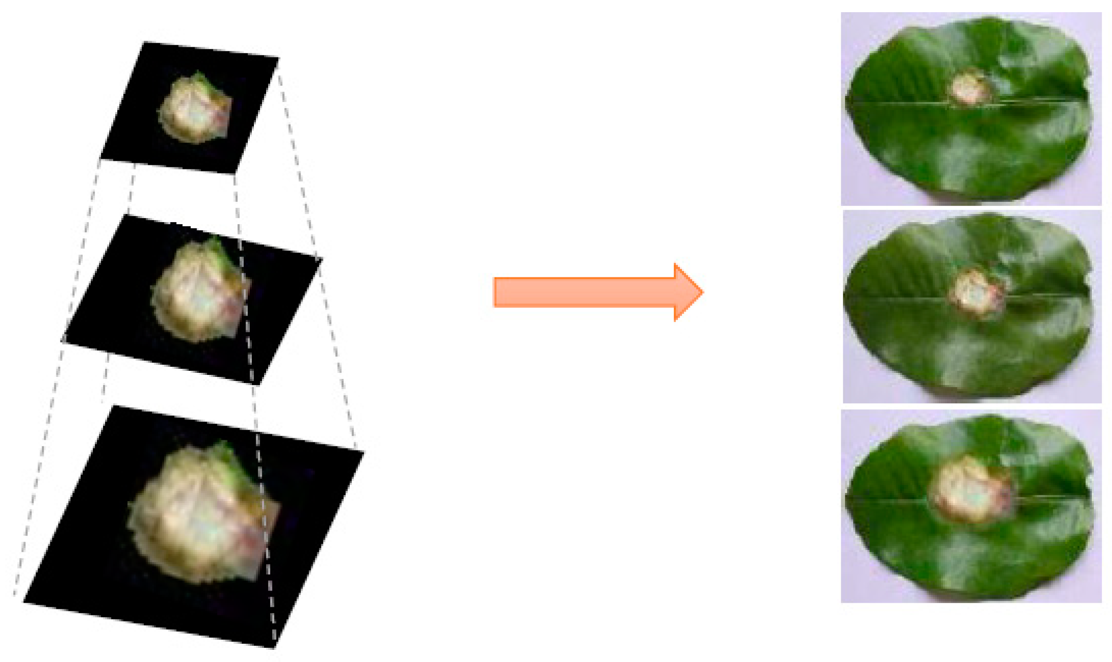 Applsci 10 00466 g007 Applsci 10 00466 g007