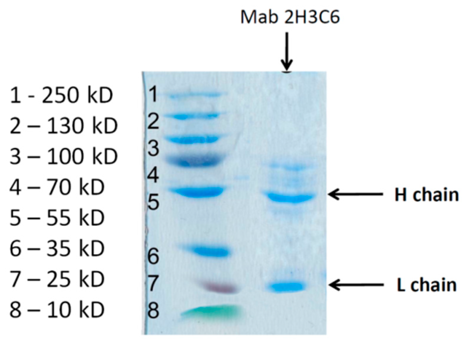 Applsci 10 00475 g005 Applsci 10 00475 g005