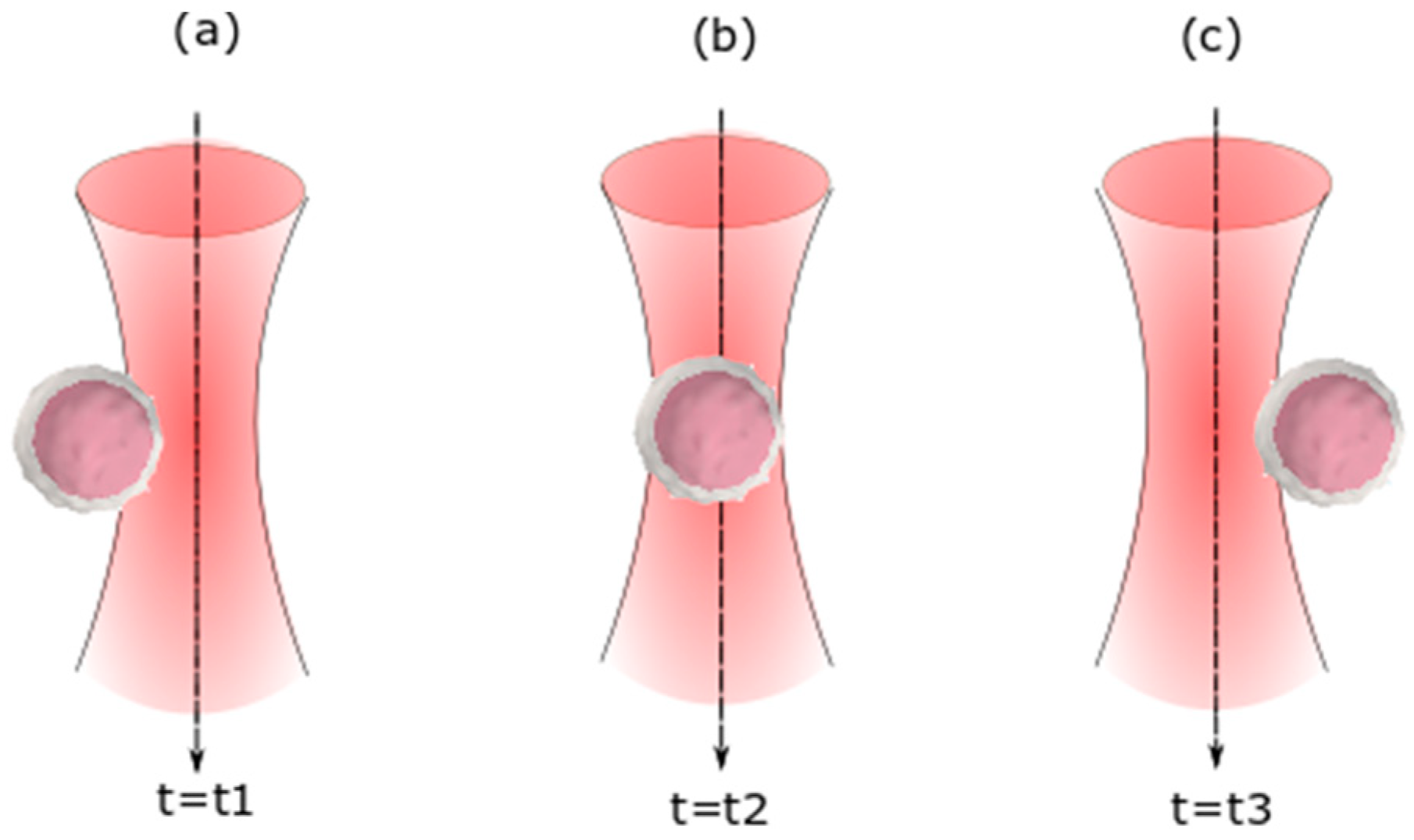 Applsci 10 00478 g002 Applsci 10 00478 g002