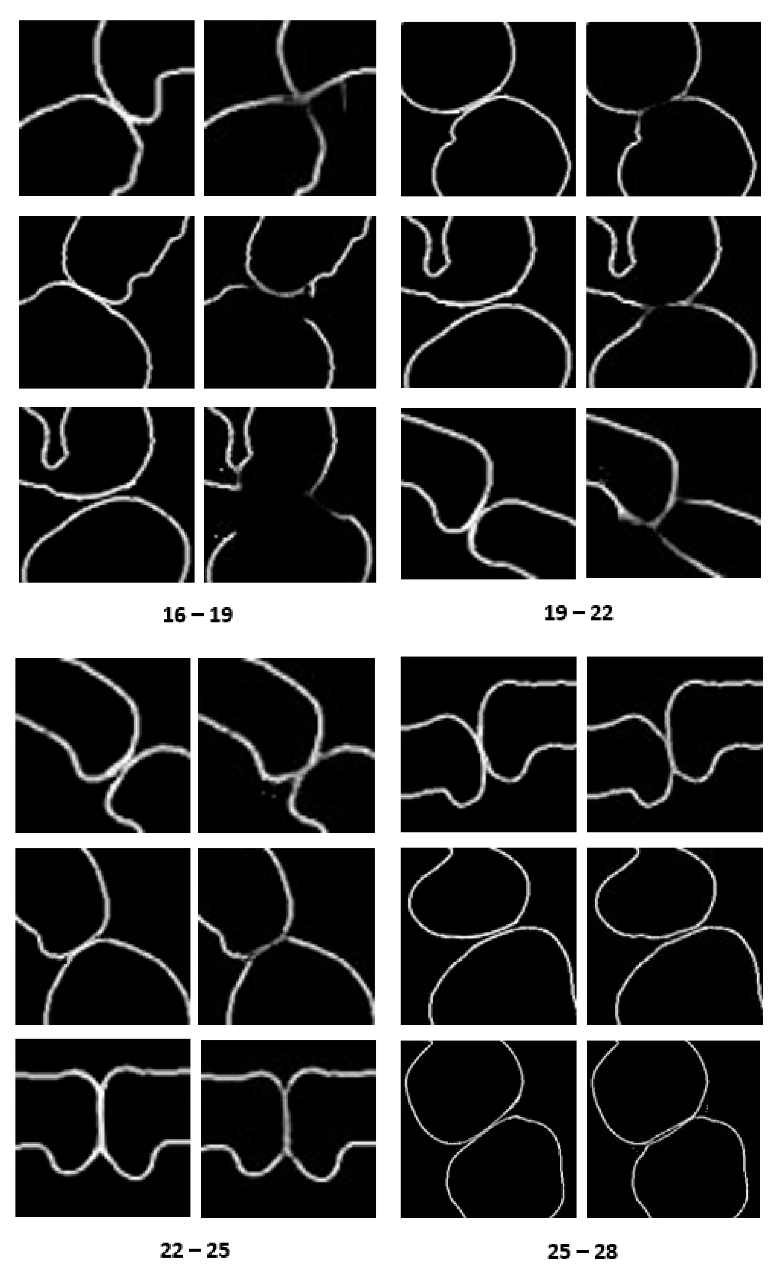 Applsci 10 00490 g017 Applsci 10 00490 g017