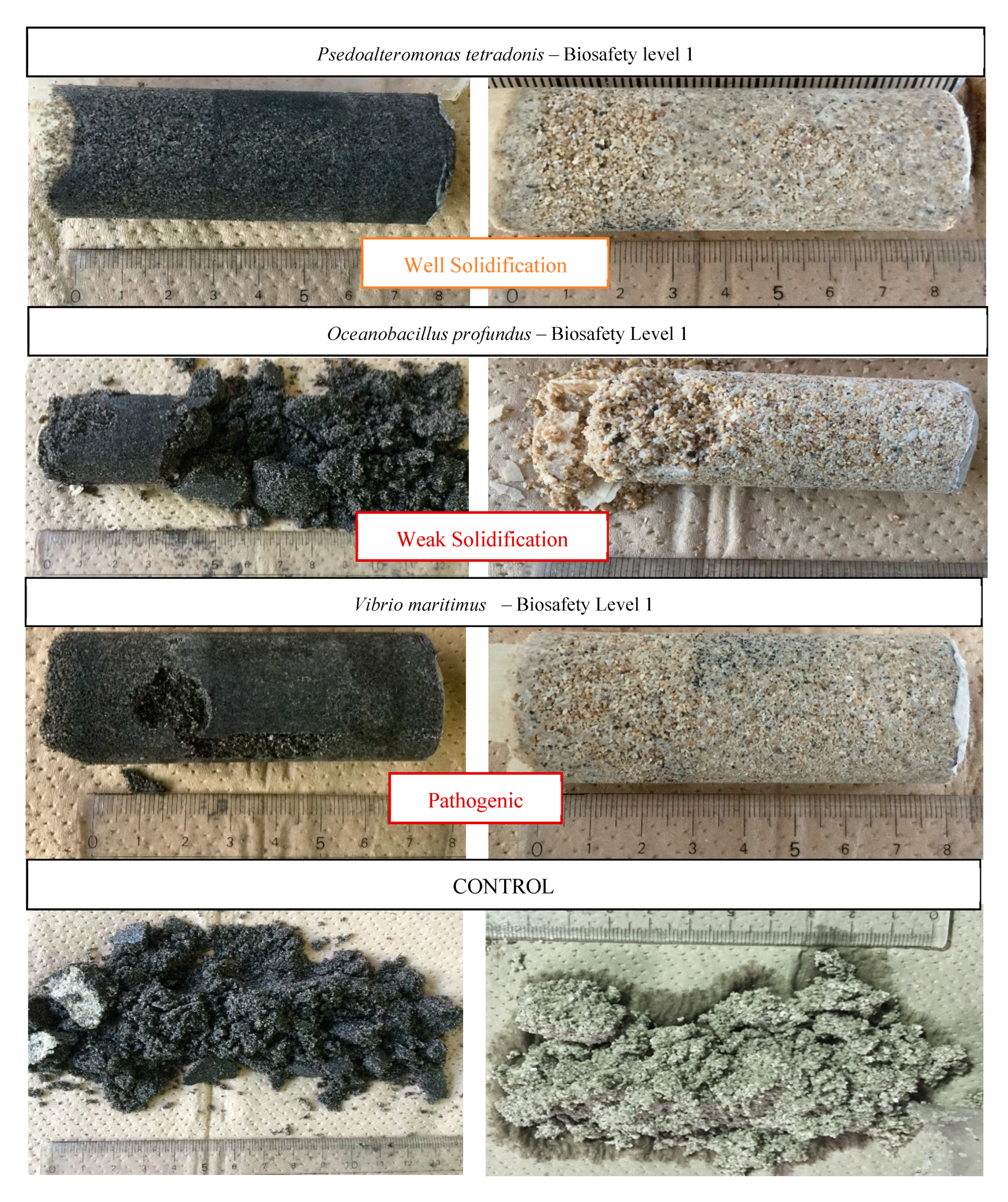 Applsci 10 00520 g007 Applsci 10 00520 g007