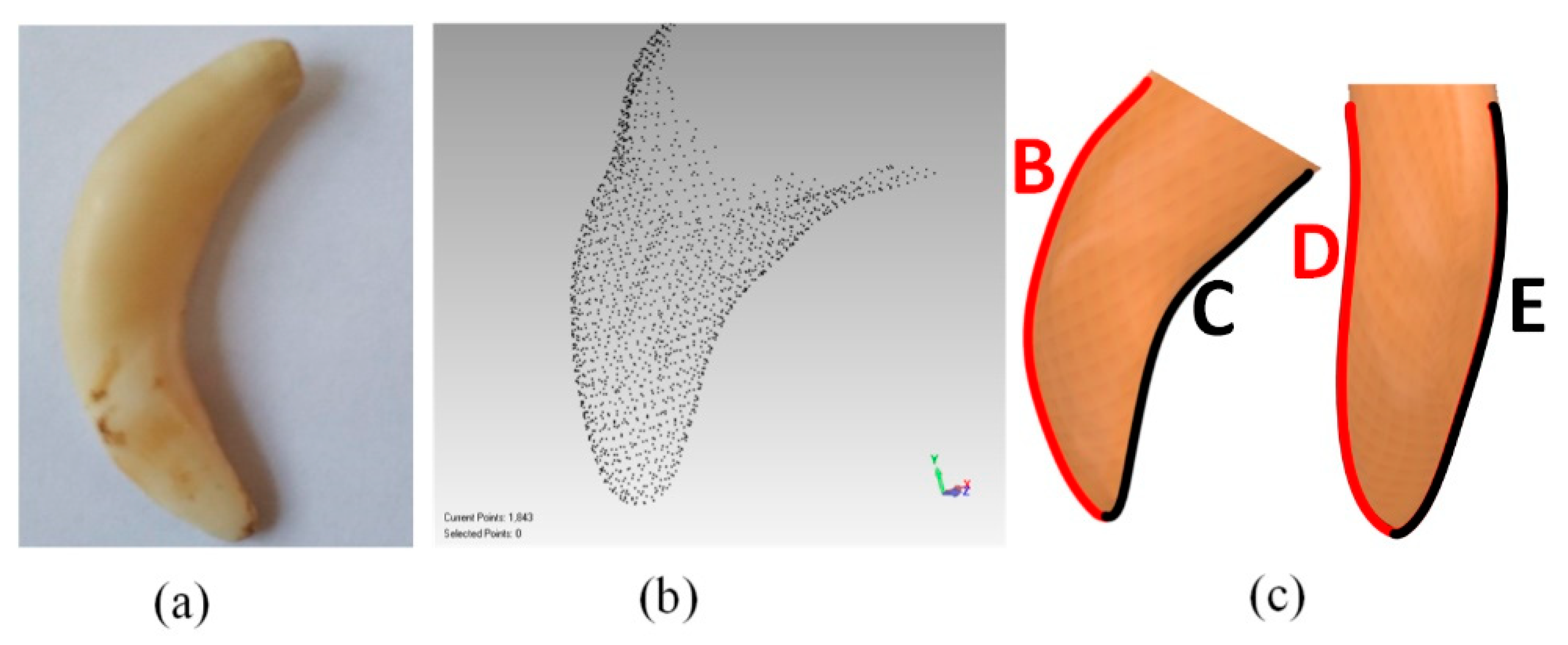 Applsci 10 00529 g001 Applsci 10 00529 g001