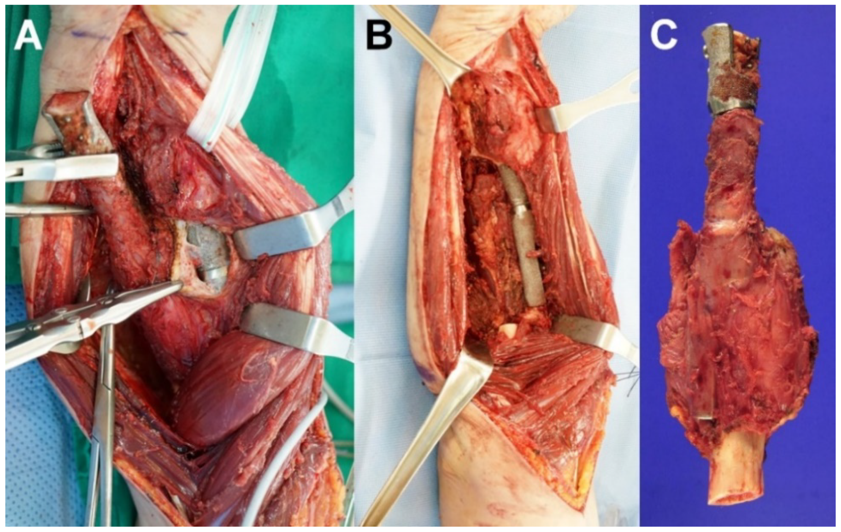 Applsci 10 00553 g002
