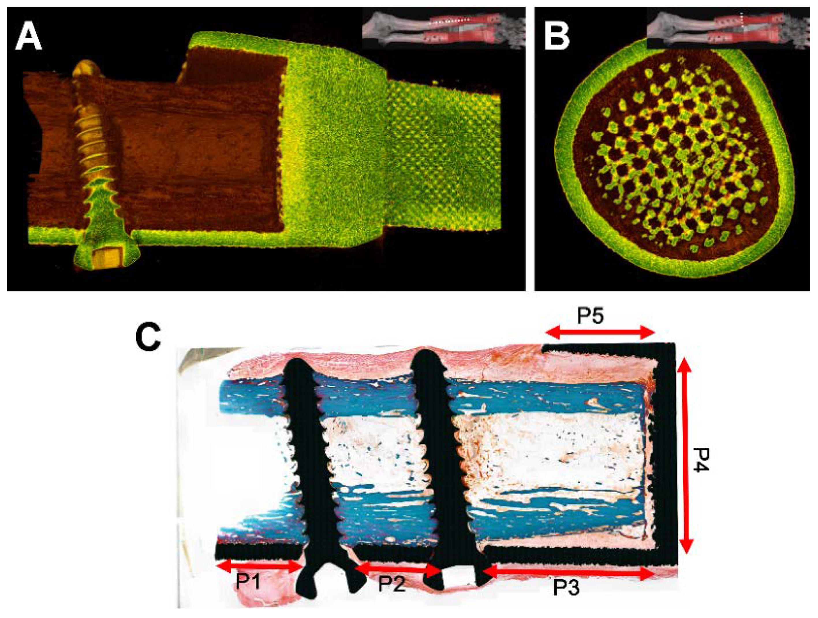 Applsci 10 00553 g004
