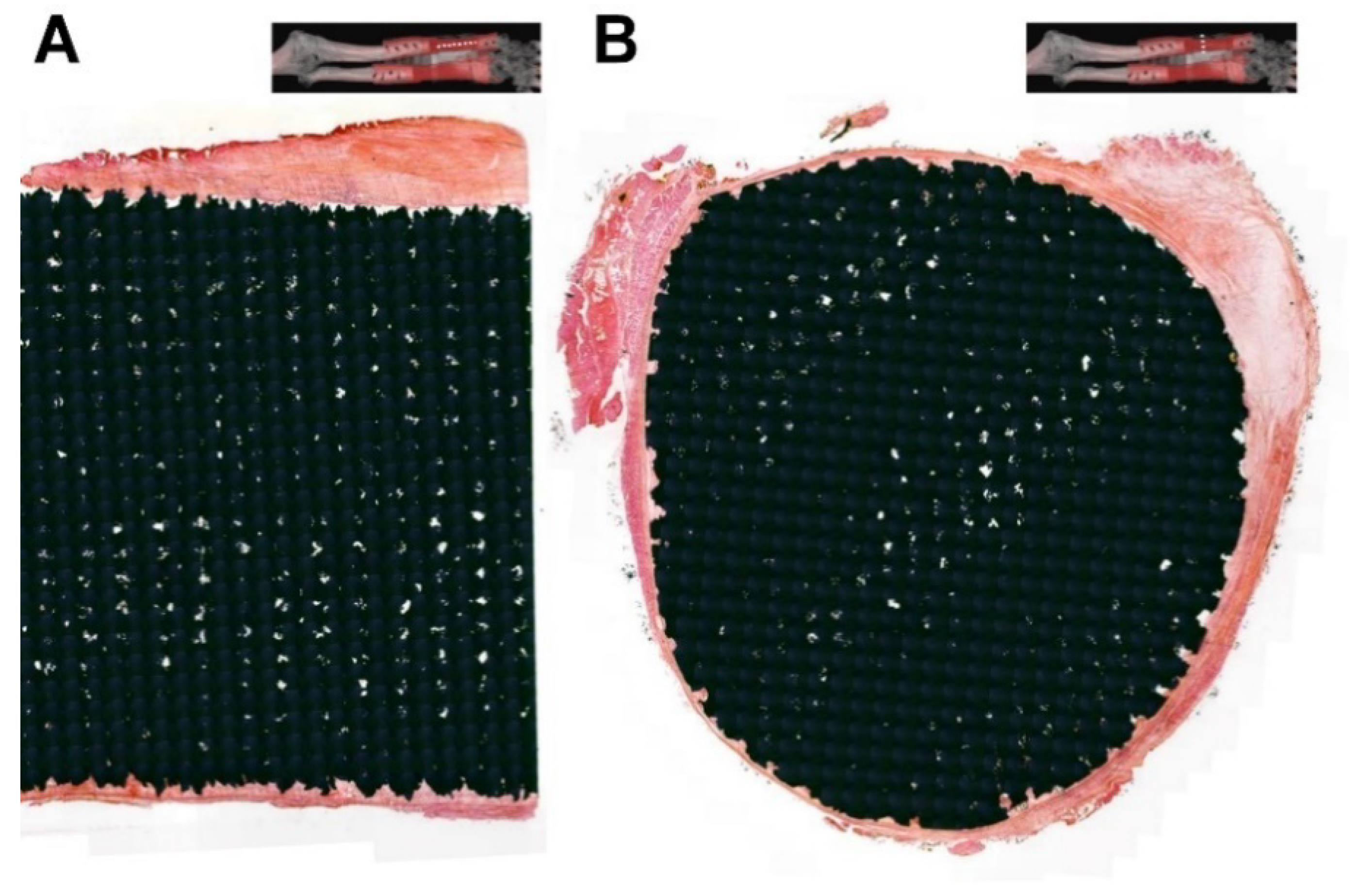 Applsci 10 00553 g006