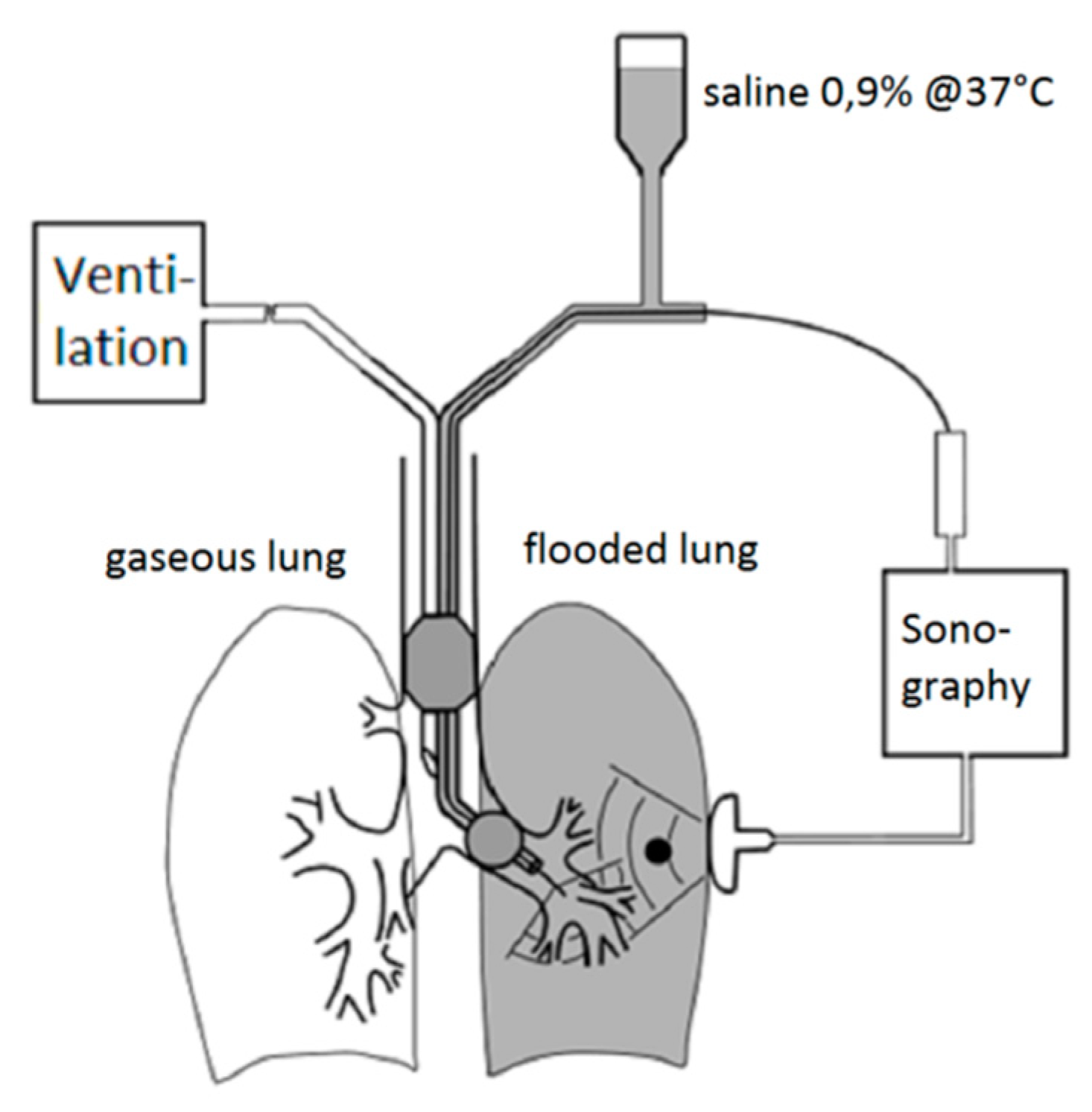 Applsci 10 00574 g003
