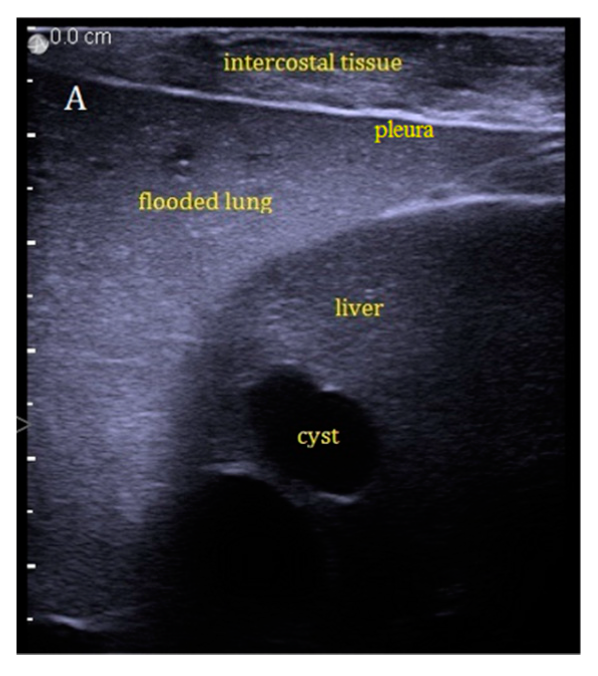 Applsci 10 00574 g004
