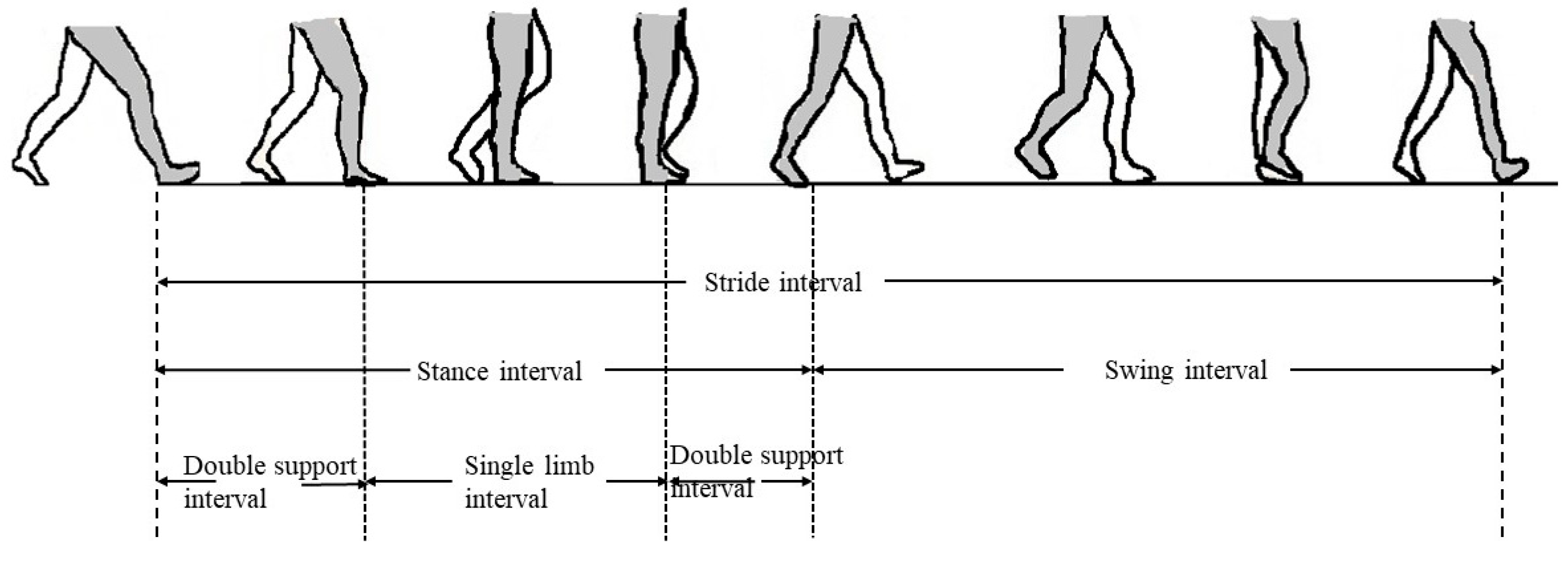 Applied Sciences Free FullText Variance of the Gait Parameters and