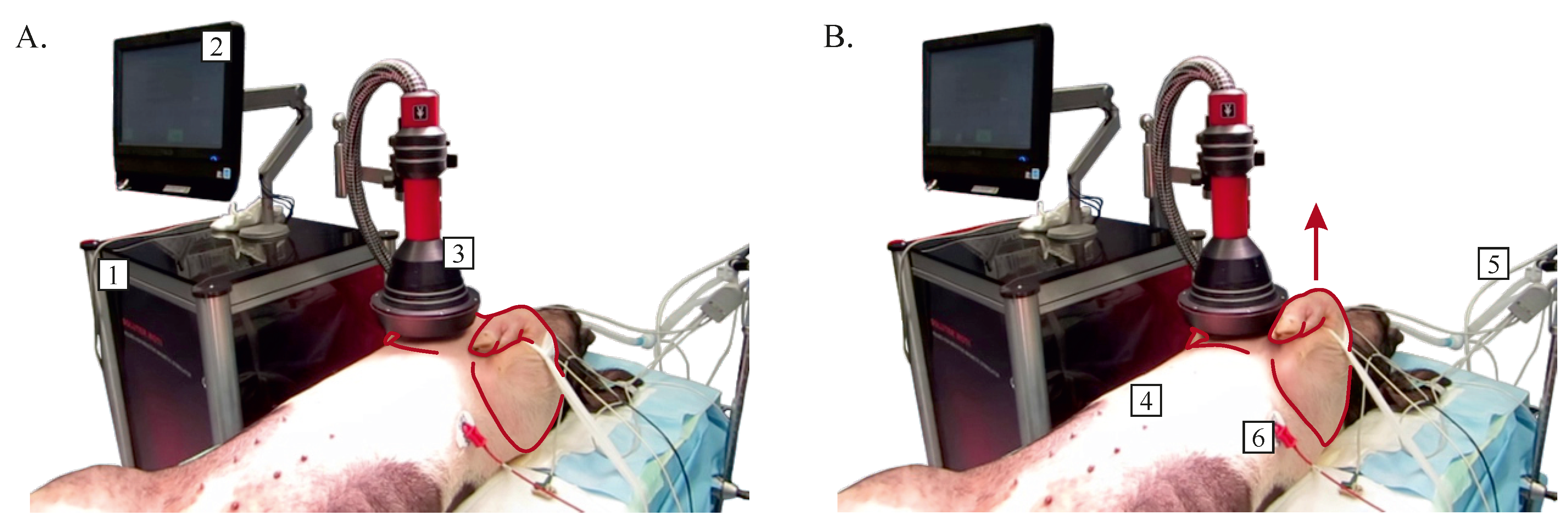 The Best PEMF Therapy Device Ensures Faster Return to Work in Low