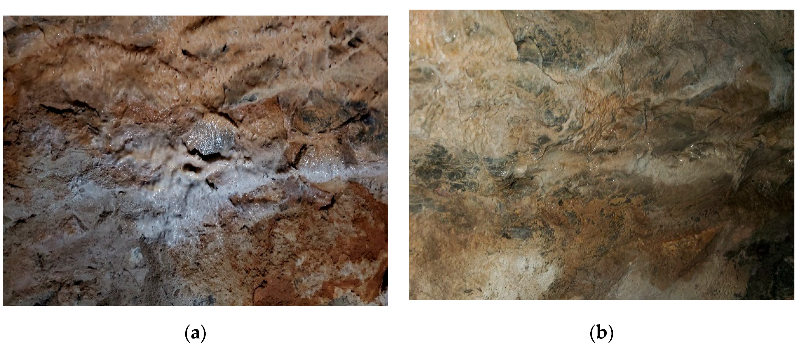 Applsci 10 00608 g003