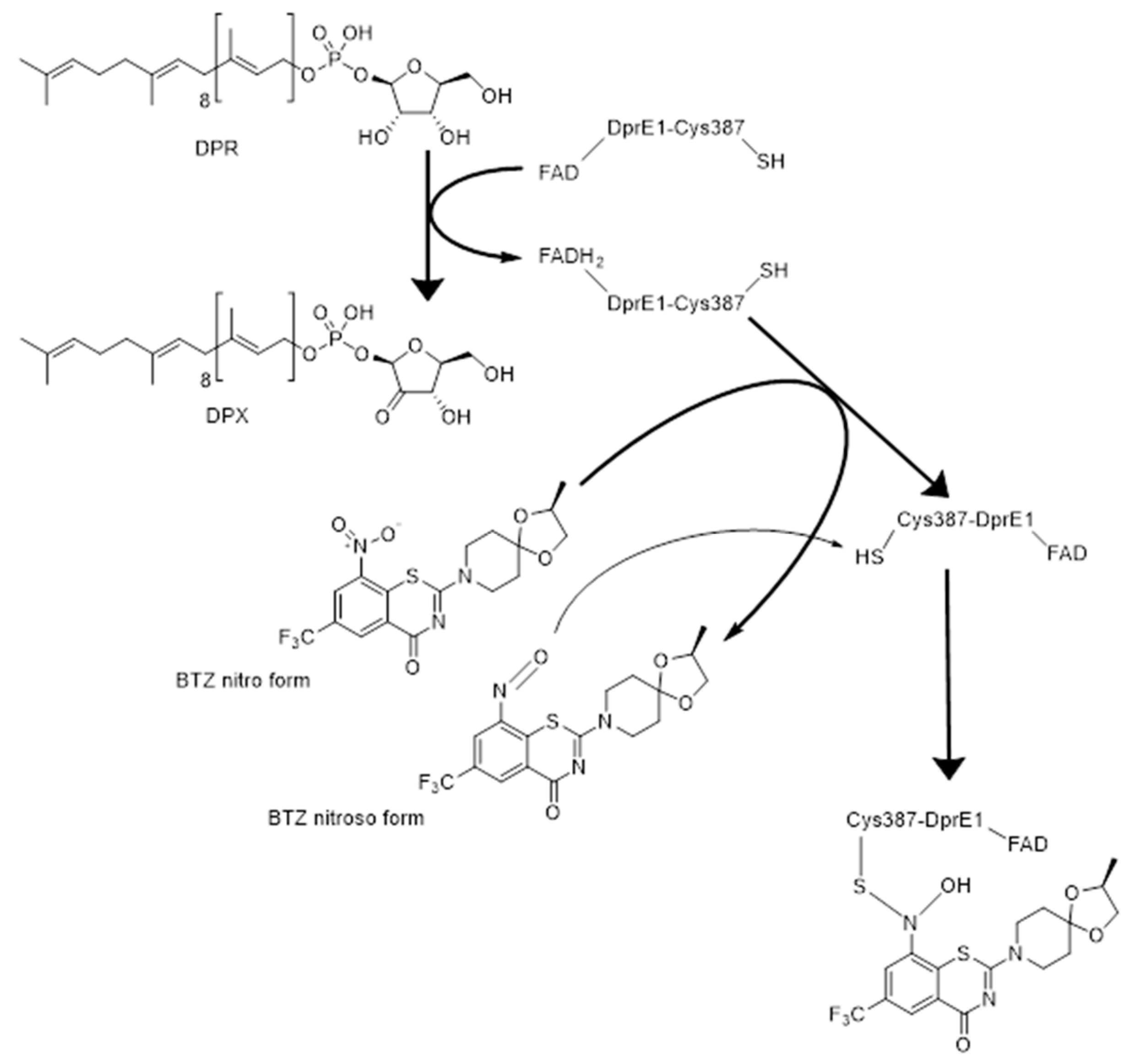 Applsci 10 00623 g001 Applsci 10 00623 g001