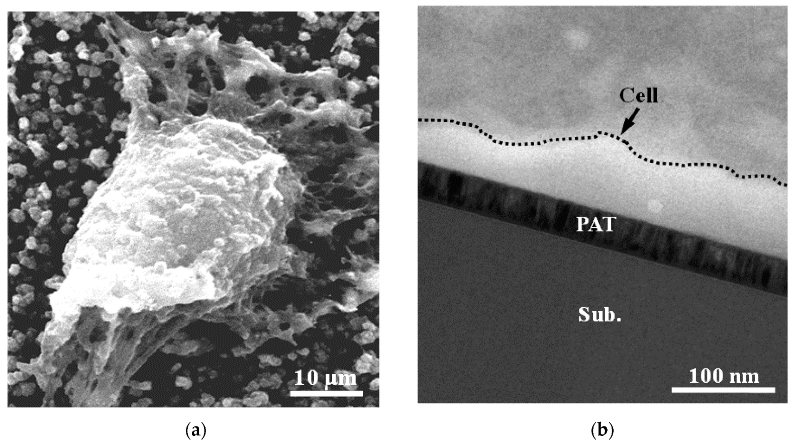 Applsci 10 00645 g002 Applsci 10 00645 g002
