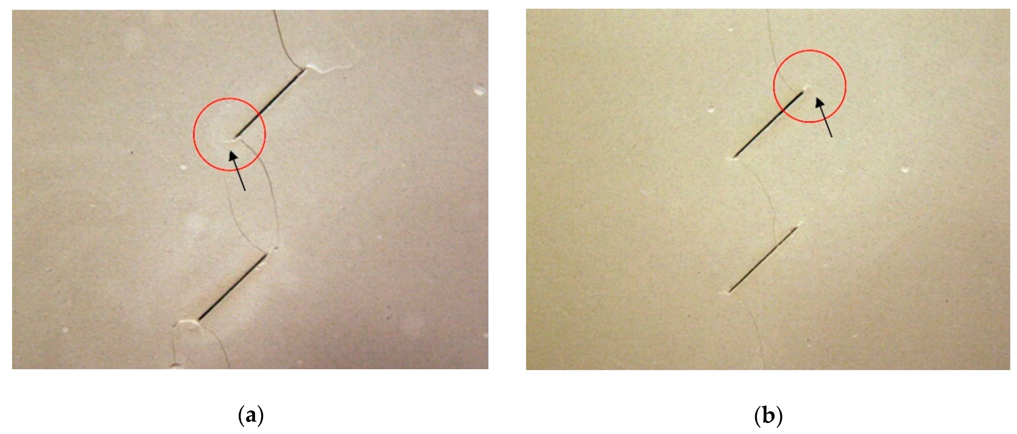 Applsci 10 00719 g019 Applsci 10 00719 g019